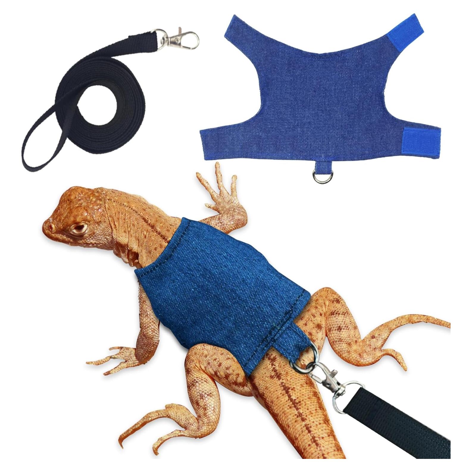 Conjunto Arnés y Correa Ajustable XQIGI para Dragón Barbudo