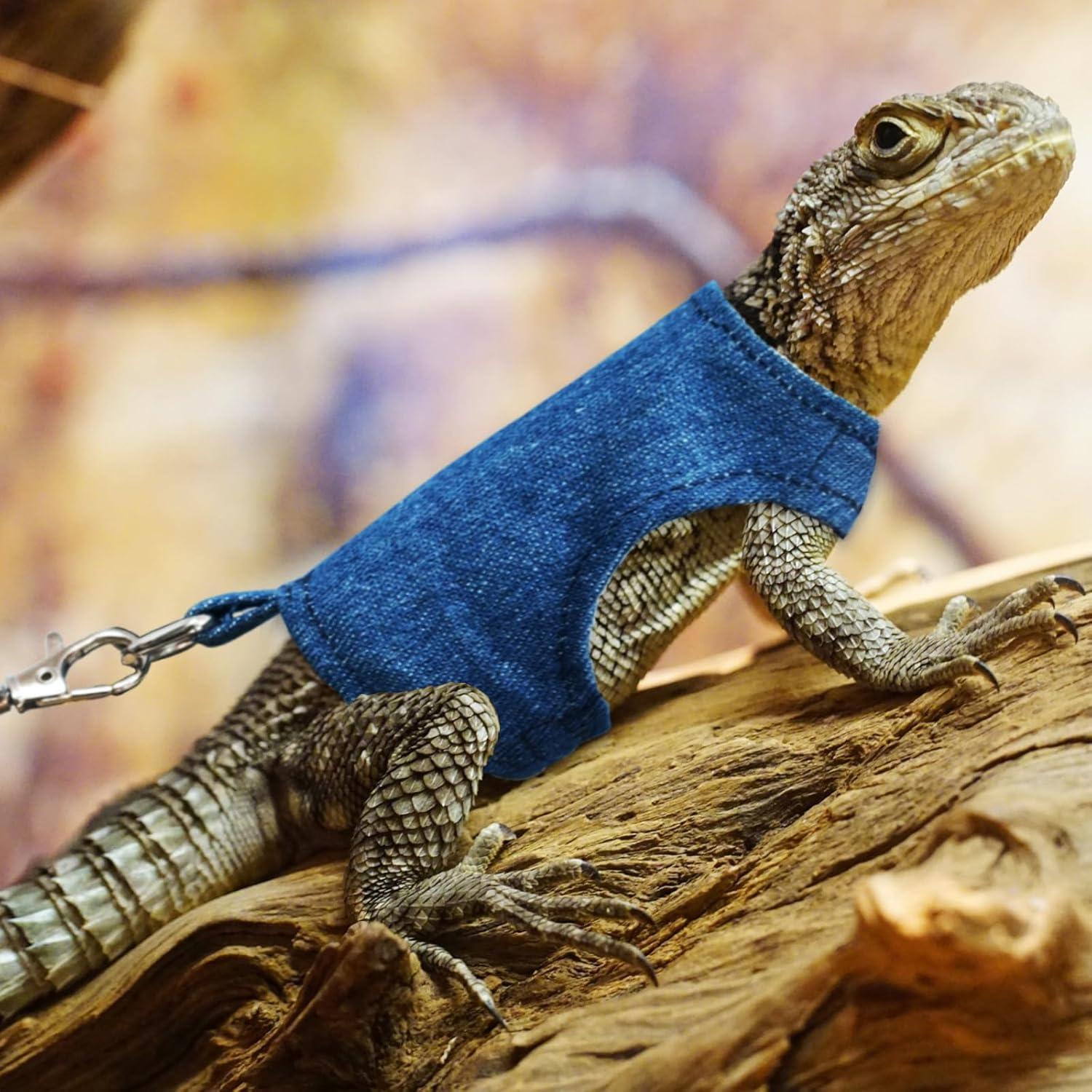 Conjunto Arnés y Correa Ajustable XQIGI para Dragón Barbudo