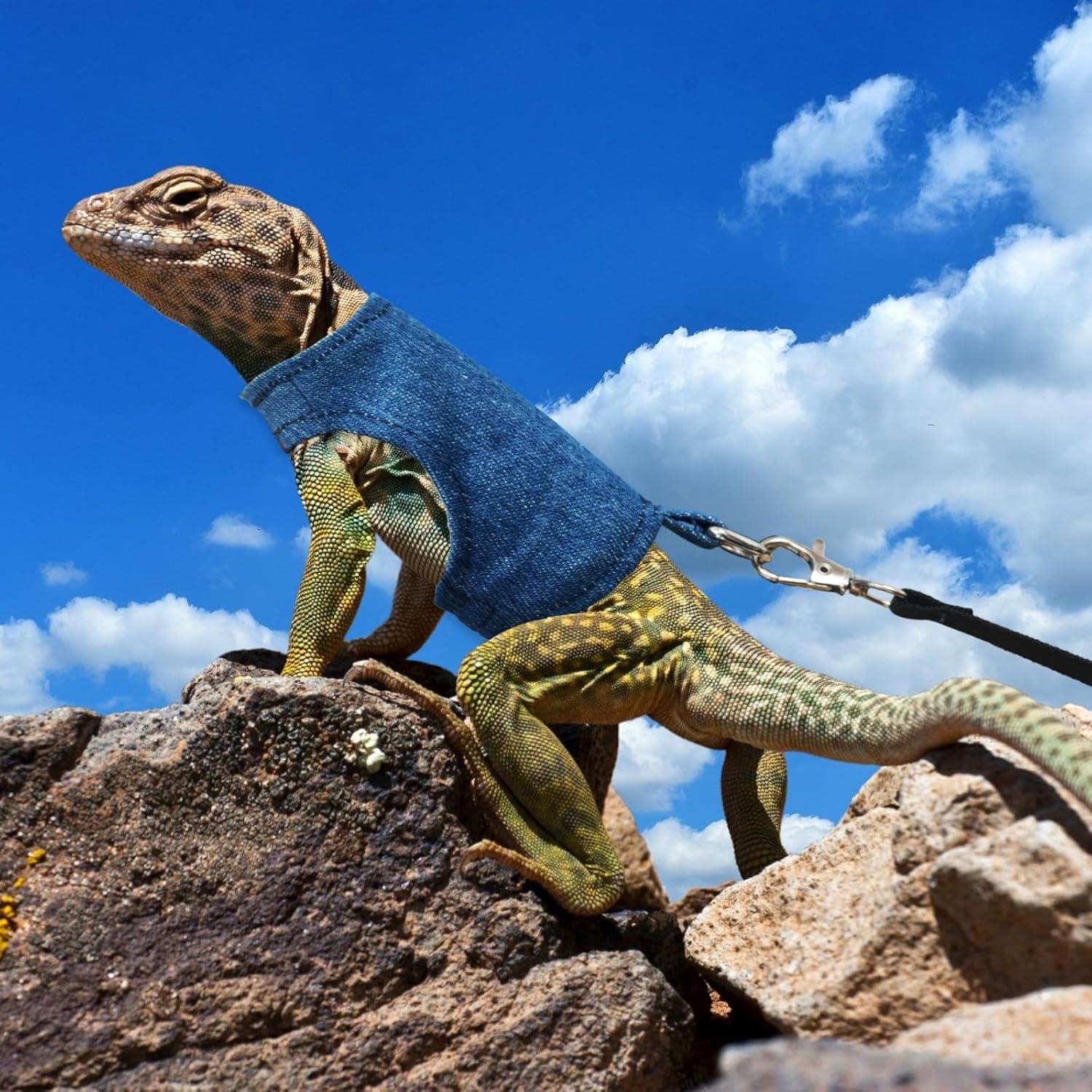 Conjunto Arnés y Correa Ajustable XQIGI para Dragón Barbudo