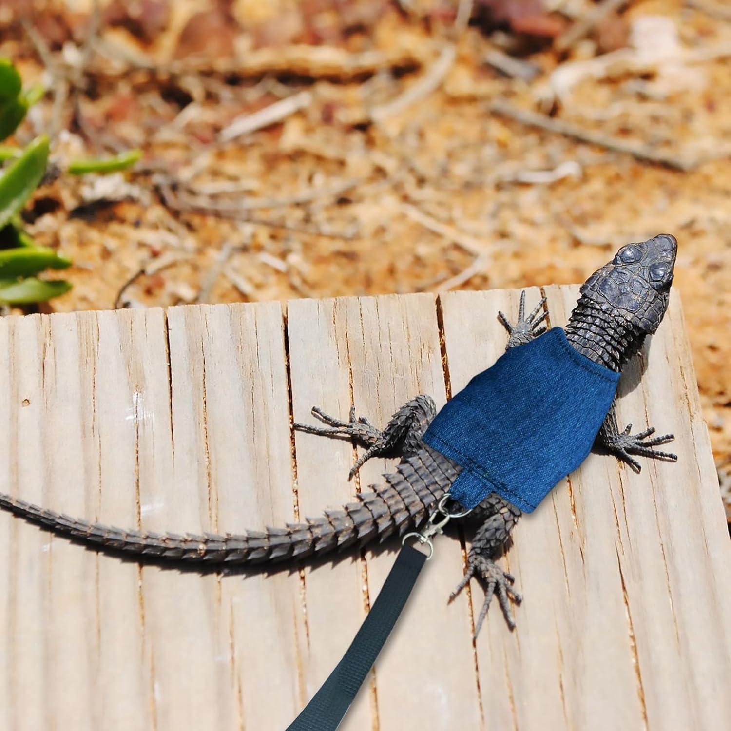 Conjunto Arnés y Correa Ajustable XQIGI para Dragón Barbudo