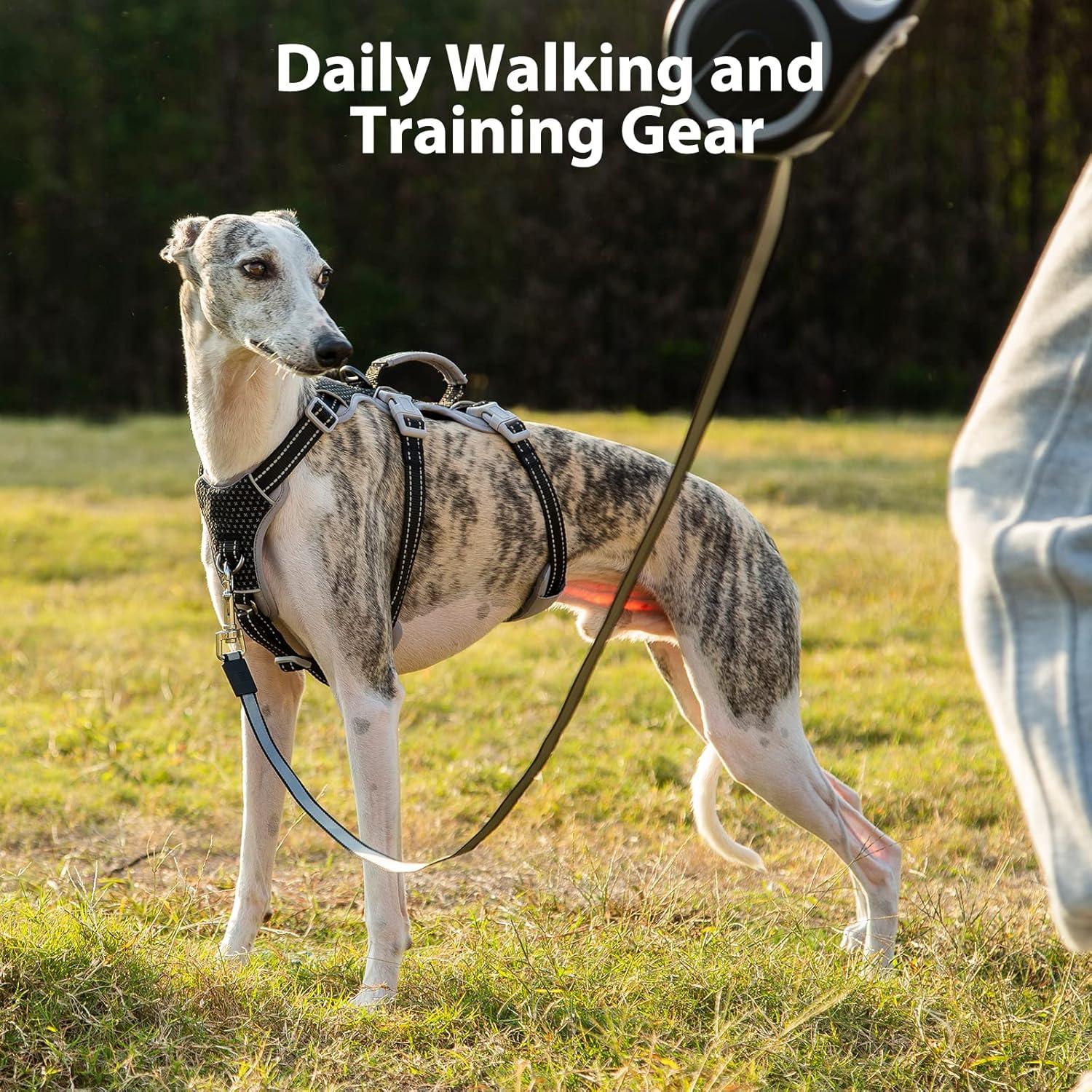 Arnés para Perros HUNTBOO XS Negro Reflectante Ajustable