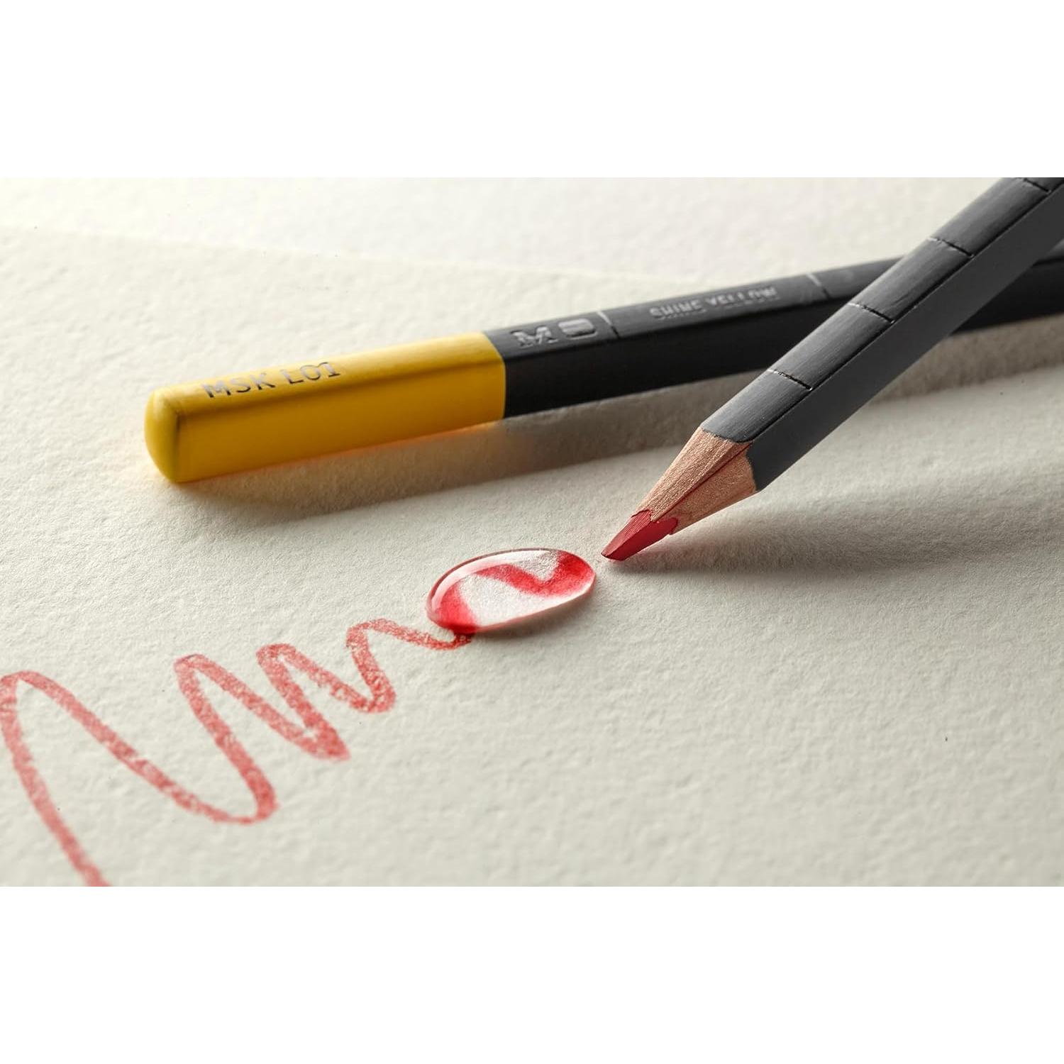 Juego de Lápices de Color Clásicos Moleskine 12 Colores