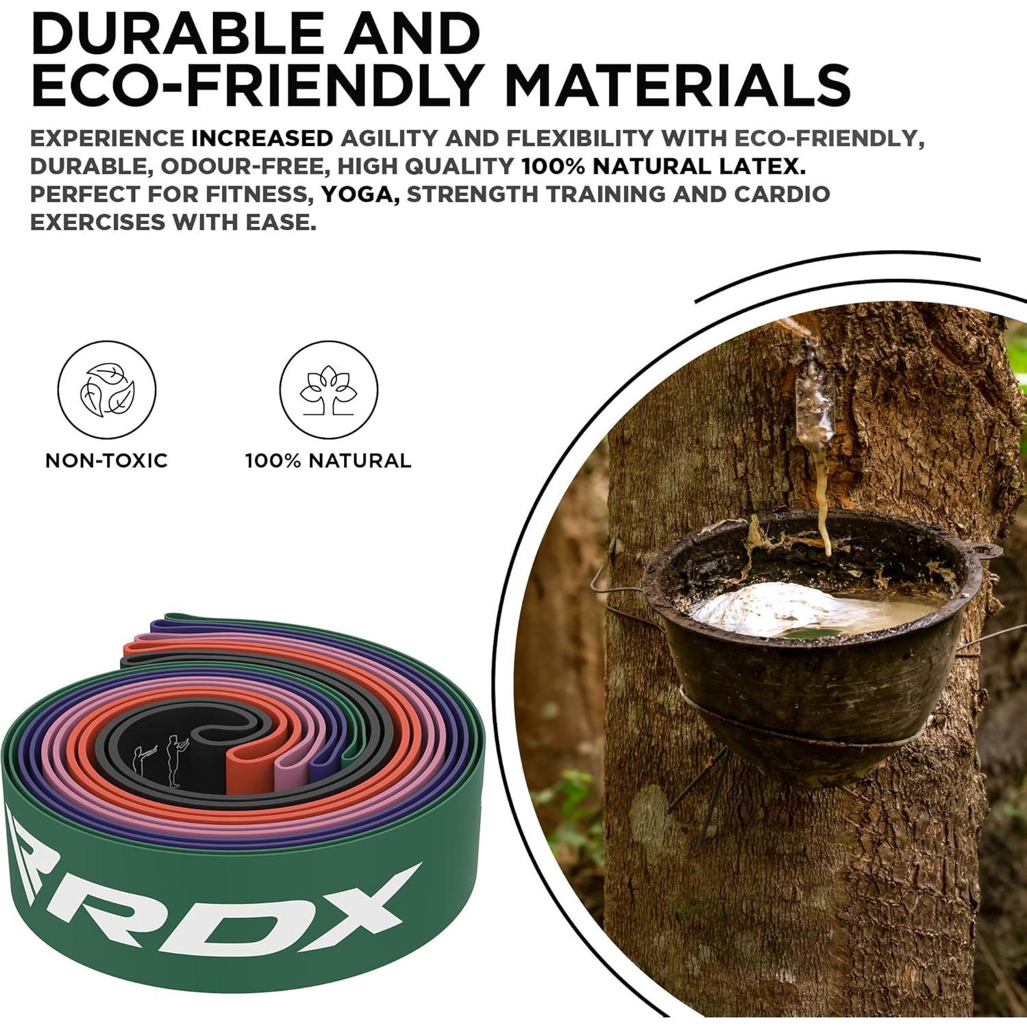 Conjunto de Bandas de Resistencia RDX 5 Niveles 2.27-11.34 kg