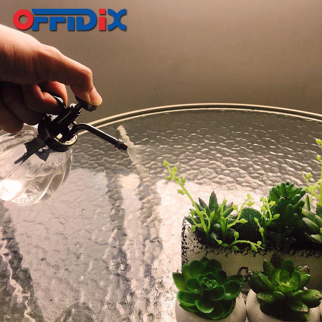 Botella Pulverizadora de Vidrio OFFIDIX 200 ml 16 cm Vintage