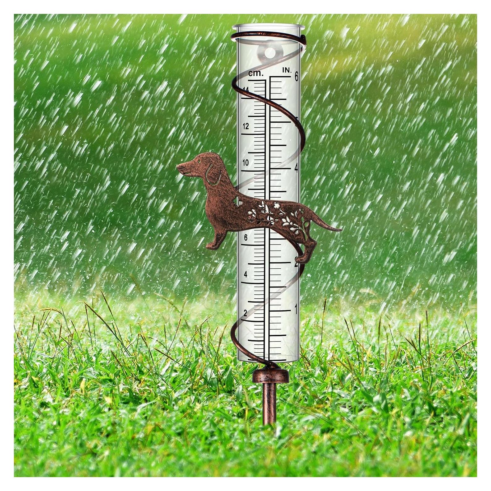 Pluviómetro Exterior Relaxweex 42x4 cm Perro Dachshund