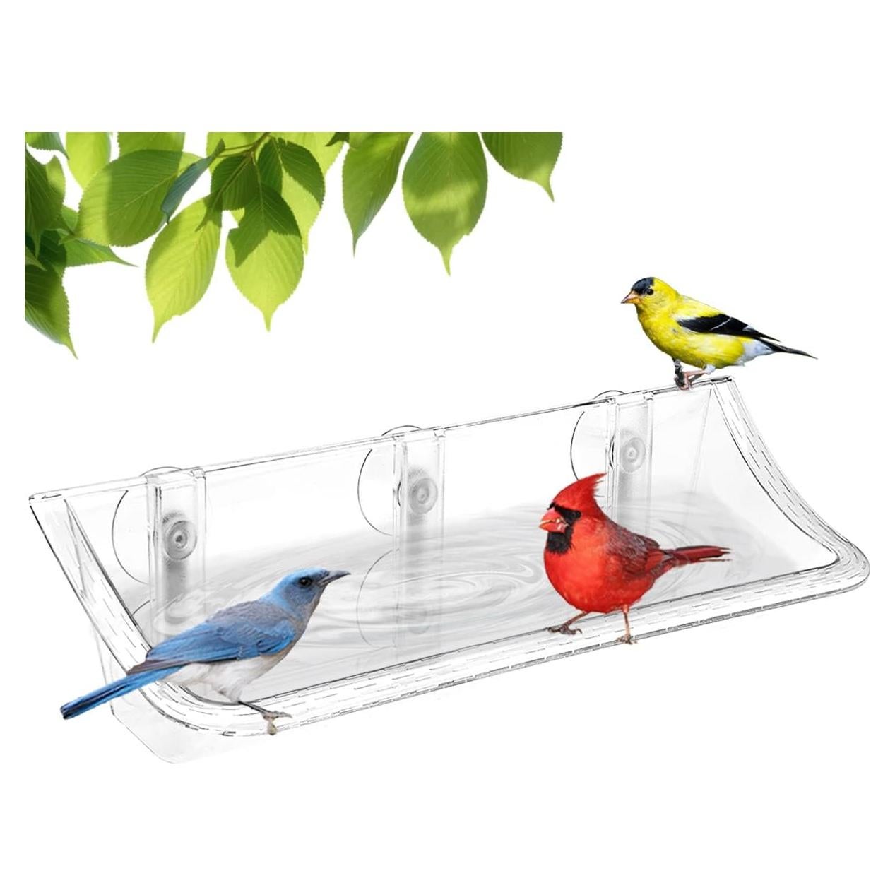 Comedero para Aves Mokeyder Transparente con Ventosas 1 Unidad