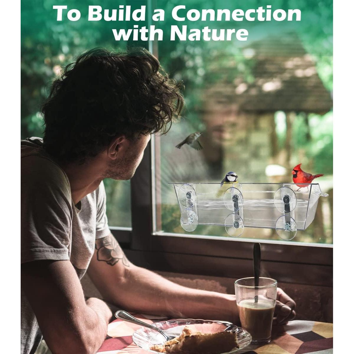 Comedero para Aves Mokeyder Transparente con Ventosas 1 Unidad