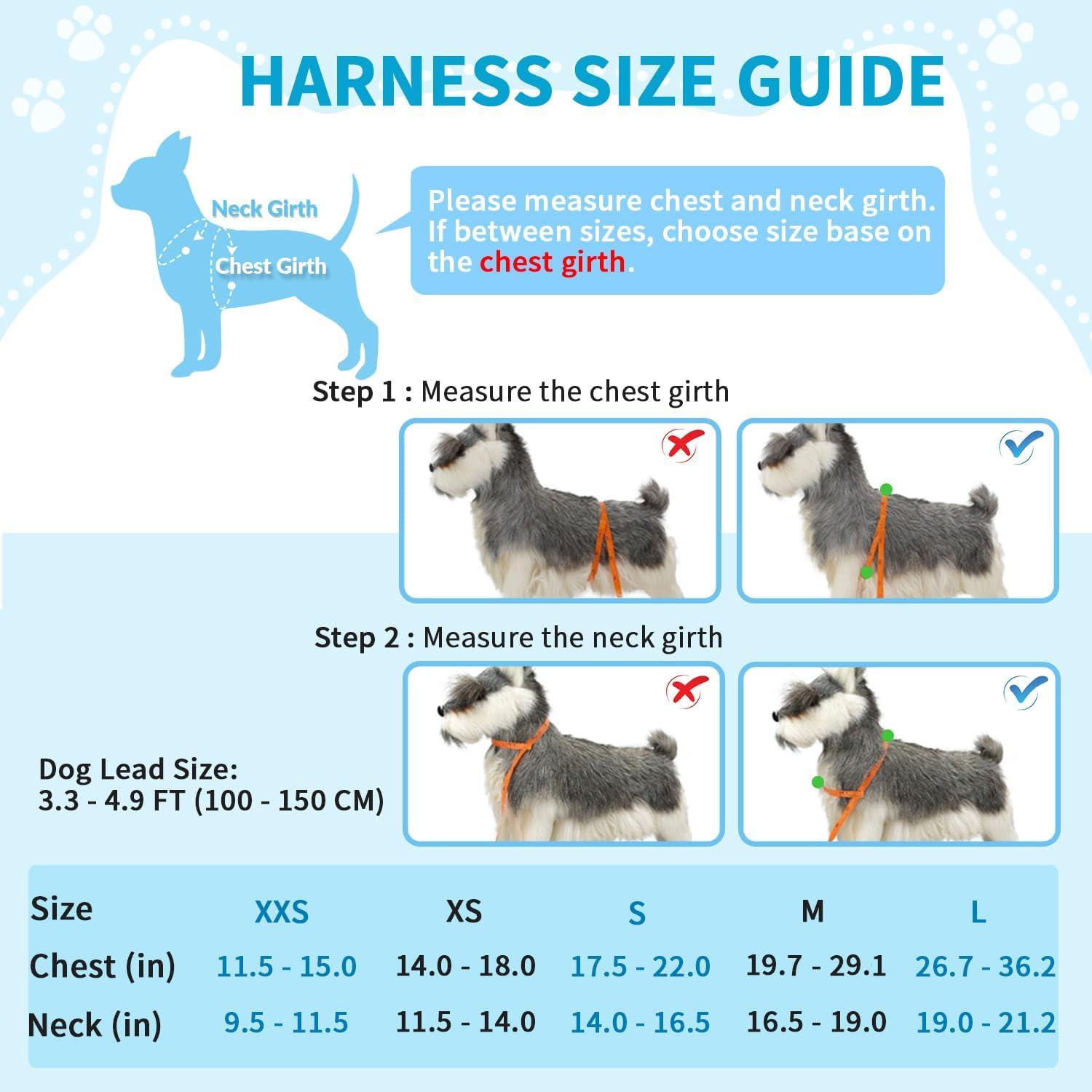 Arnés para Perros Pequeños Lukovee Acolchado Reflectante XXS