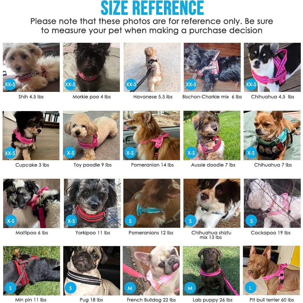 Arnés para Perros Pequeños Lukovee Acolchado Reflectante XXS