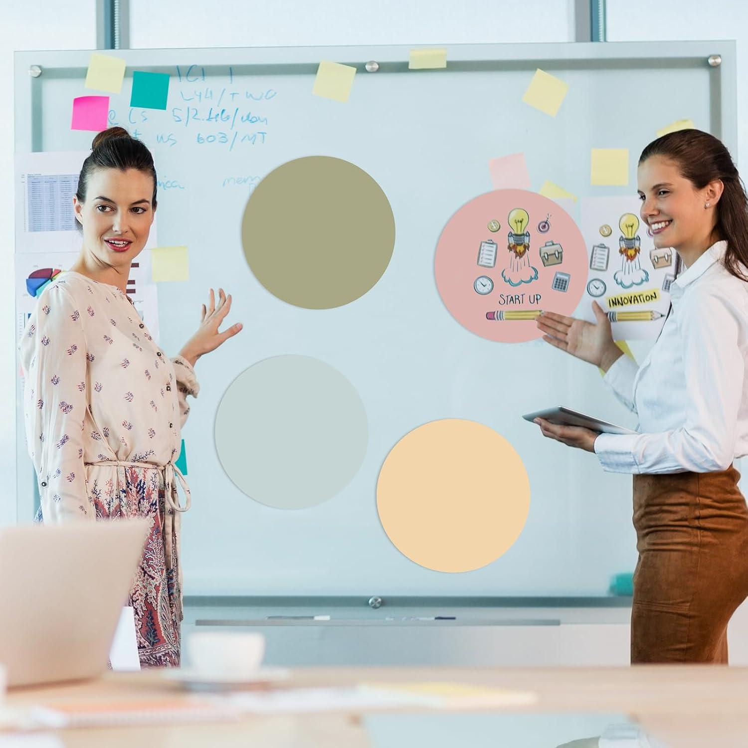 Puntos de Borrado Coloridos Lincia - 24 Piezas 27 cm