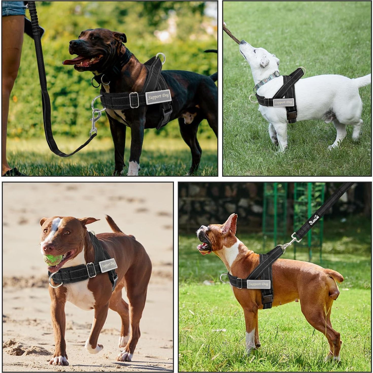 Arnés y Correa para Perros Lukovee Sin Tirones Negro S