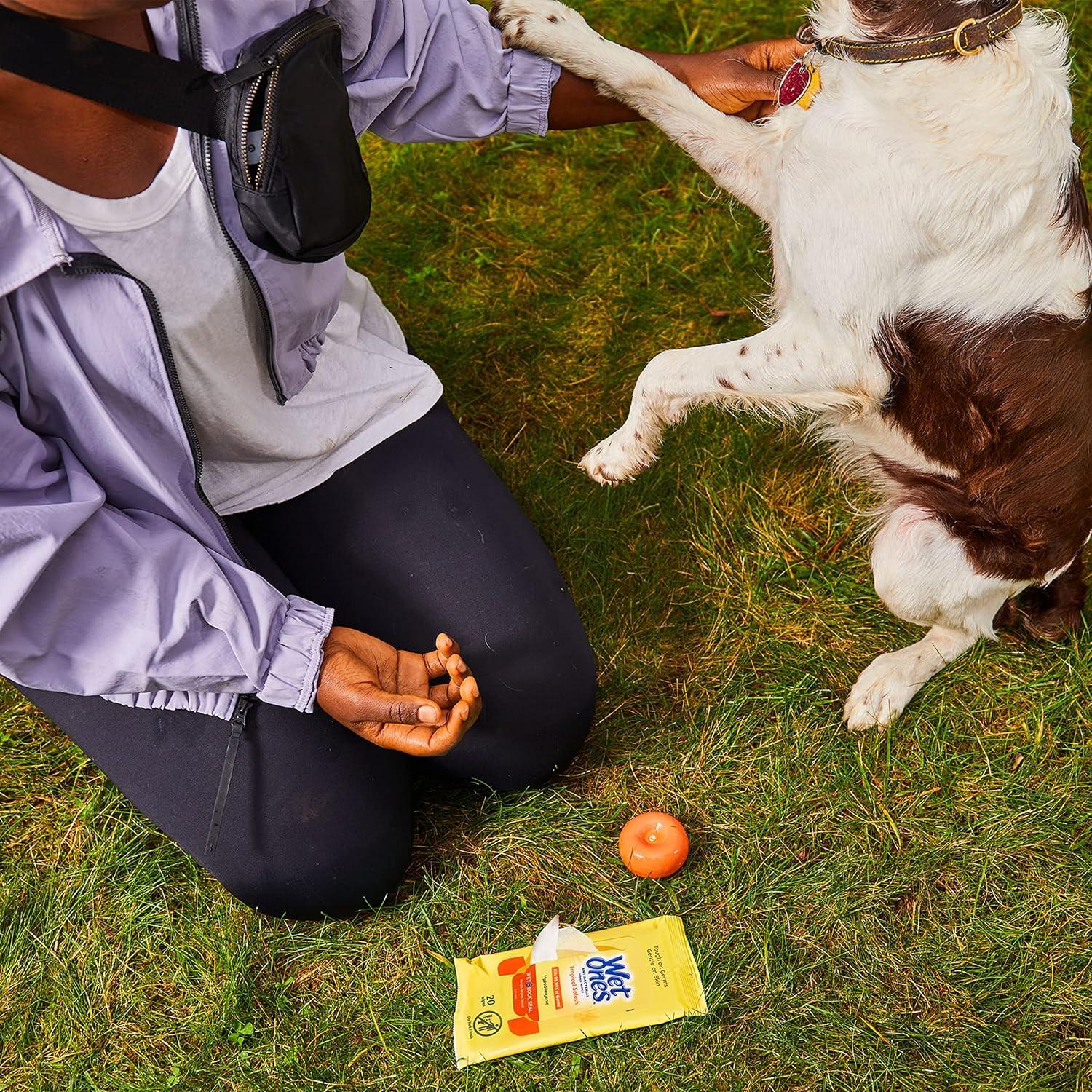 Toallitas Antibacteriales Wet Ones Tropical Splash 20 Unidades