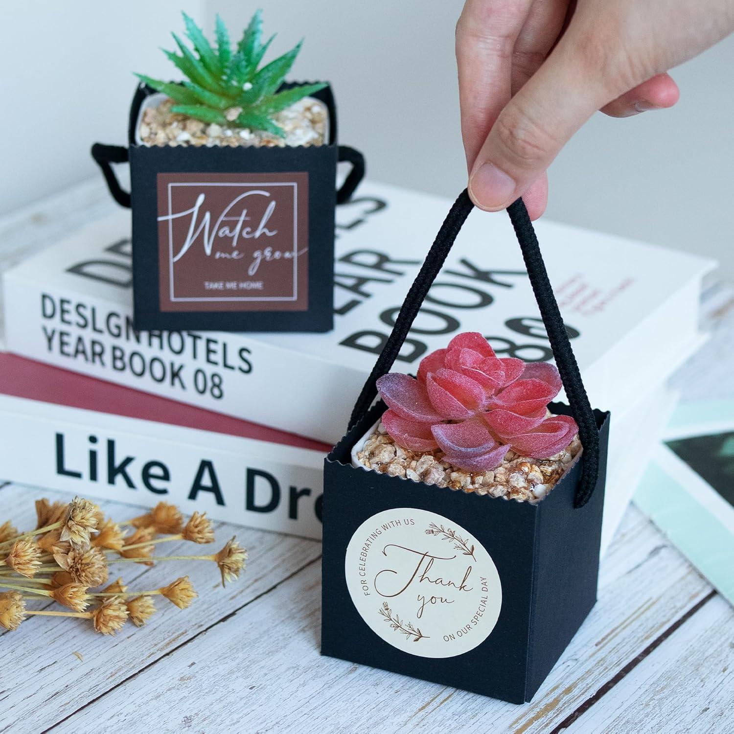 Bolsas de Envoltura para Suculentas Temlum 40pcs 6.35cm Negro