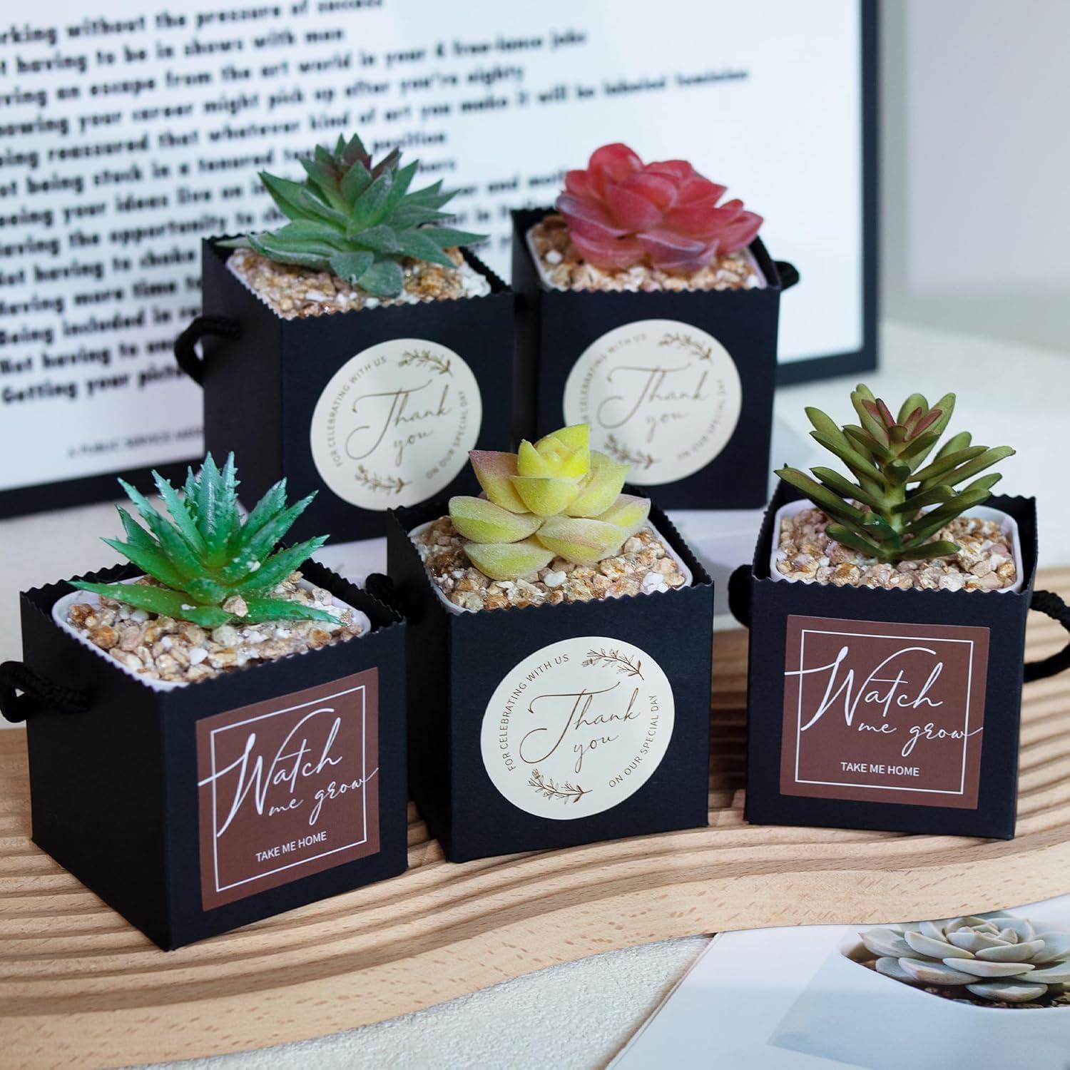 Bolsas de Envoltura para Suculentas Temlum 40pcs 6.35cm Negro