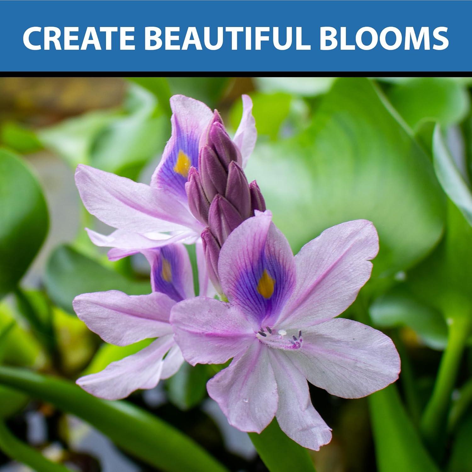 Fertilizante para Plantas Acuáticas CrystalClear Thrive 30 Tabletas