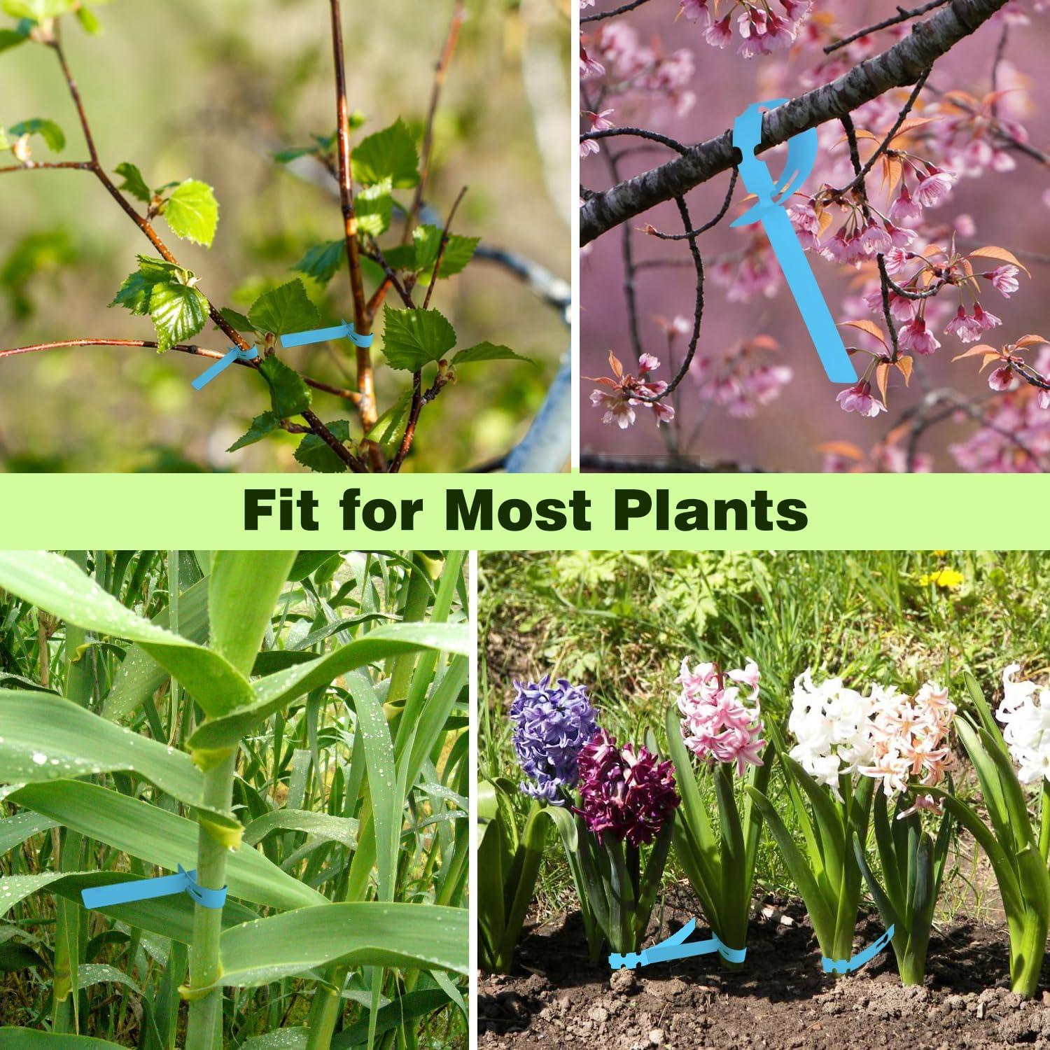 Etiquetas para Plantas 200 Pcs Yuanling Azul con Marcador