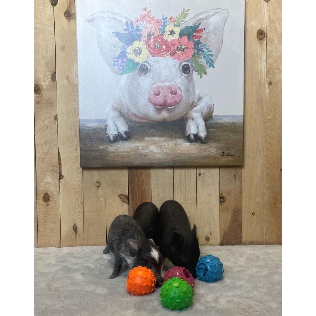 Pelota Dispensadora de Golosinas AZ Micro Mini Pigs 8.89 cm