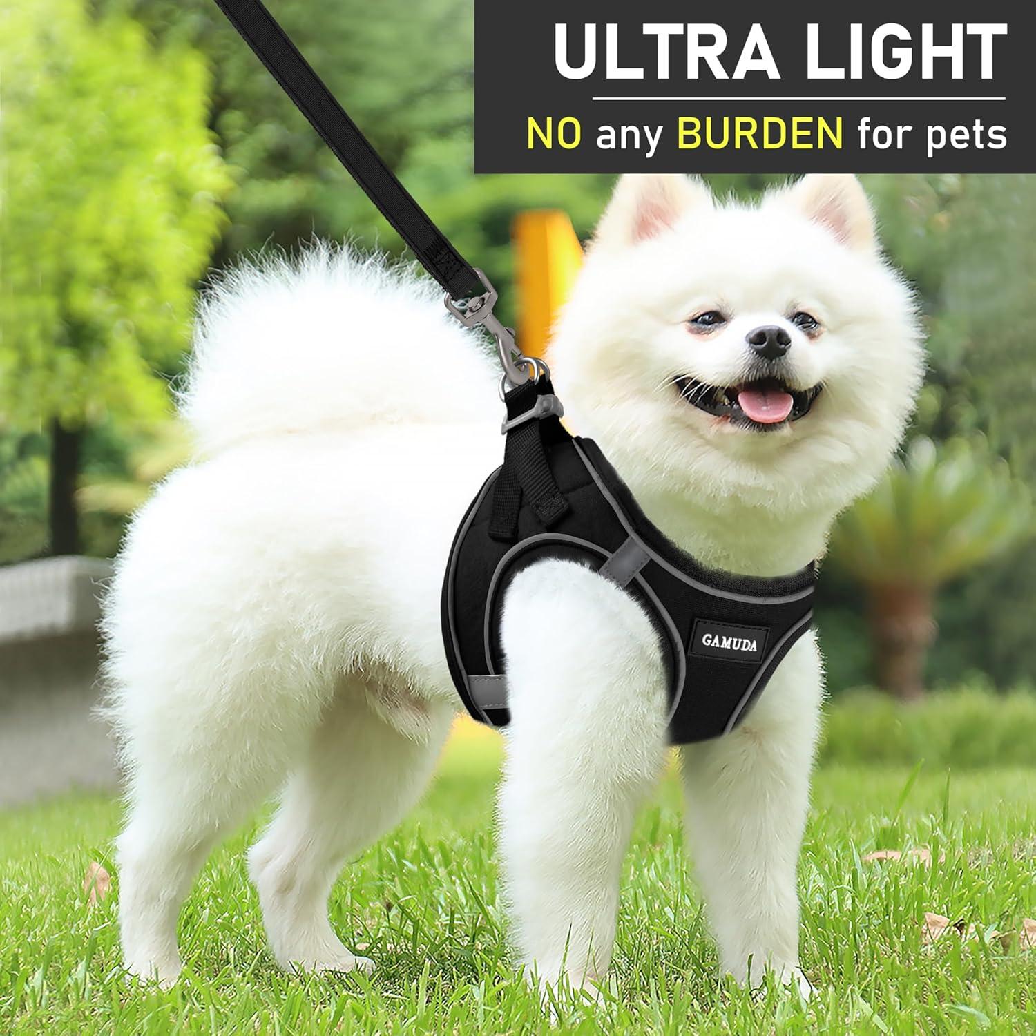 Conjunto Arnés, Collar y Correa para Perros GAMUDA Negro XS