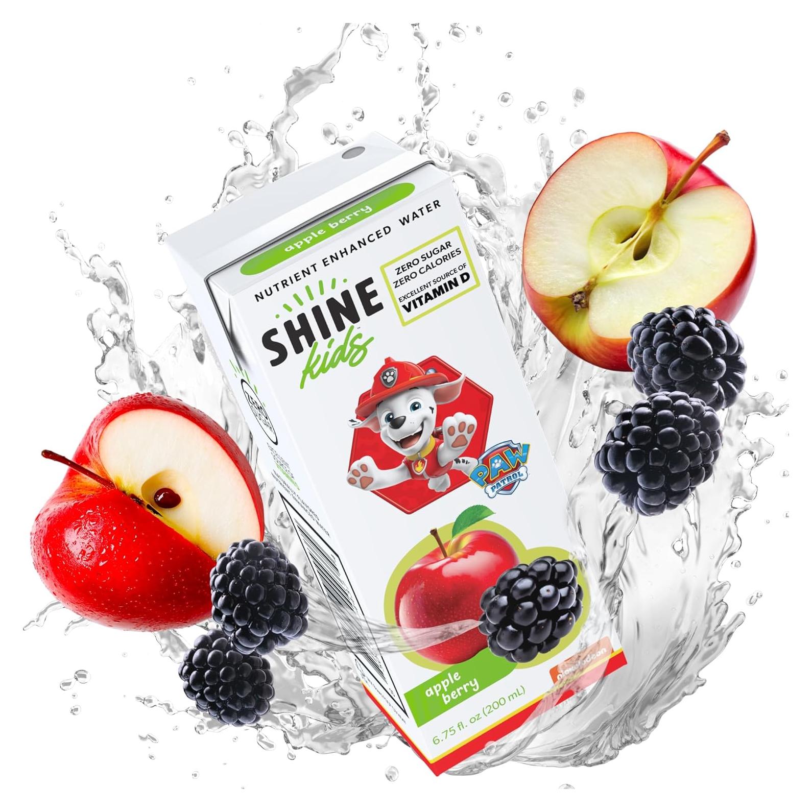 Caja de Jugo Sin Azúcar ShineKids Paw Patrol Manzana Baya 32 Unidades