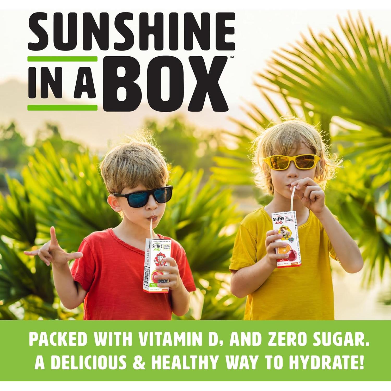 Caja de Jugo Sin Azúcar ShineKids Paw Patrol Manzana Baya 32 Unidades