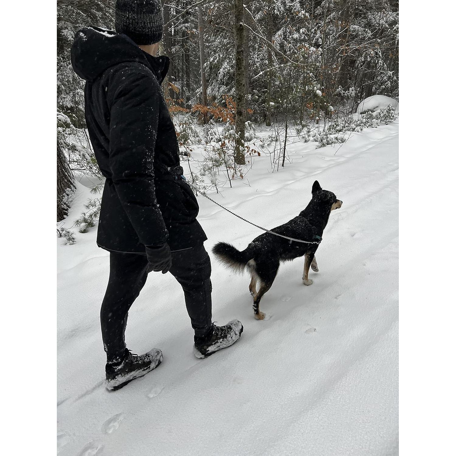 Correa de Perro Pupperoo Universal para Aventura Azul