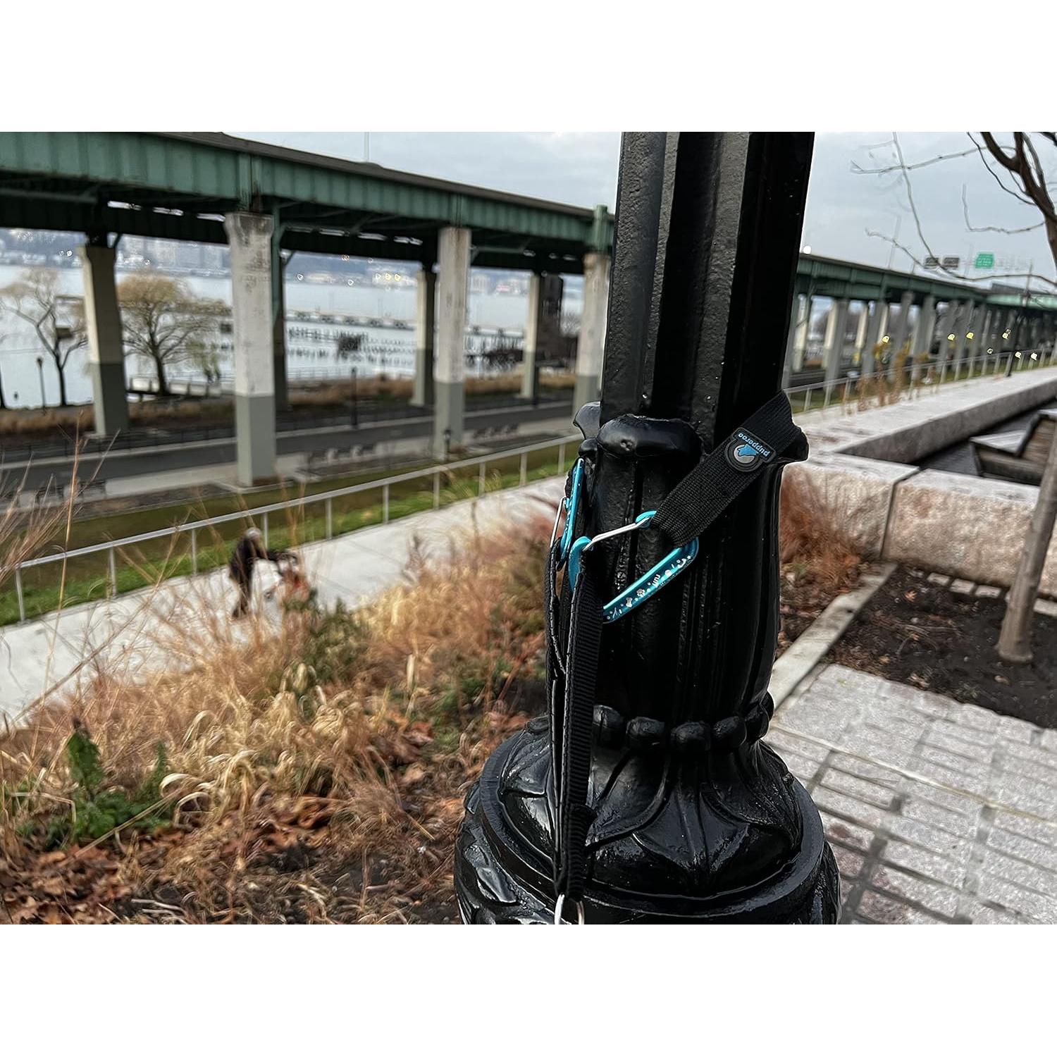 Correa de Perro Pupperoo Universal para Aventura Azul