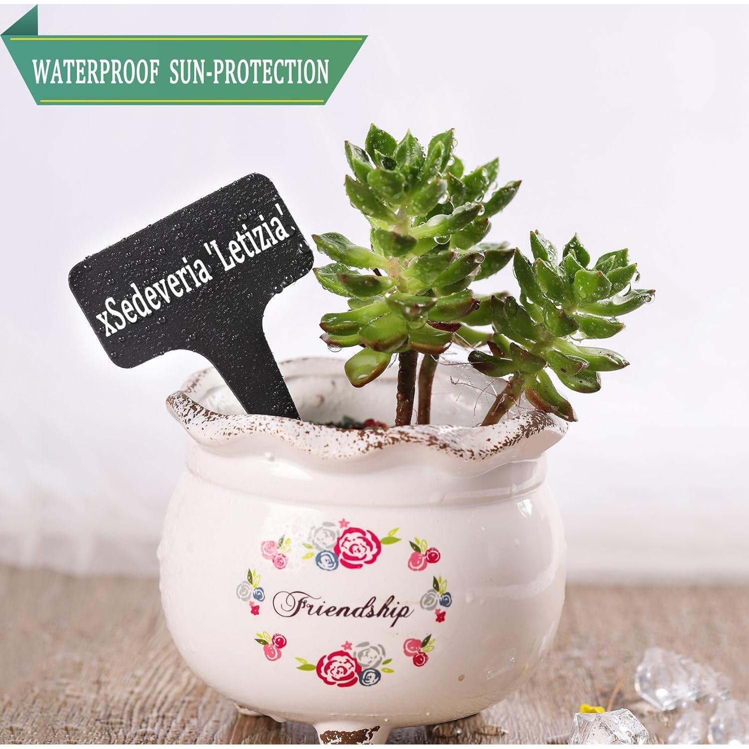 Etiquetas de Jardín Whaline 100 Pcs Tipo T Reutilizables 6x10 cm