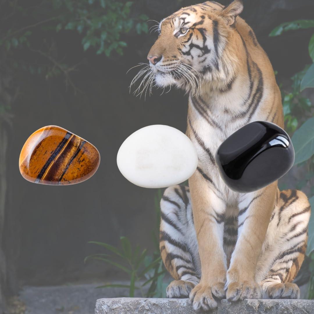 Set de Horquillas Decorativas IMEL Studio Tiger Nudes - 3 Piezas