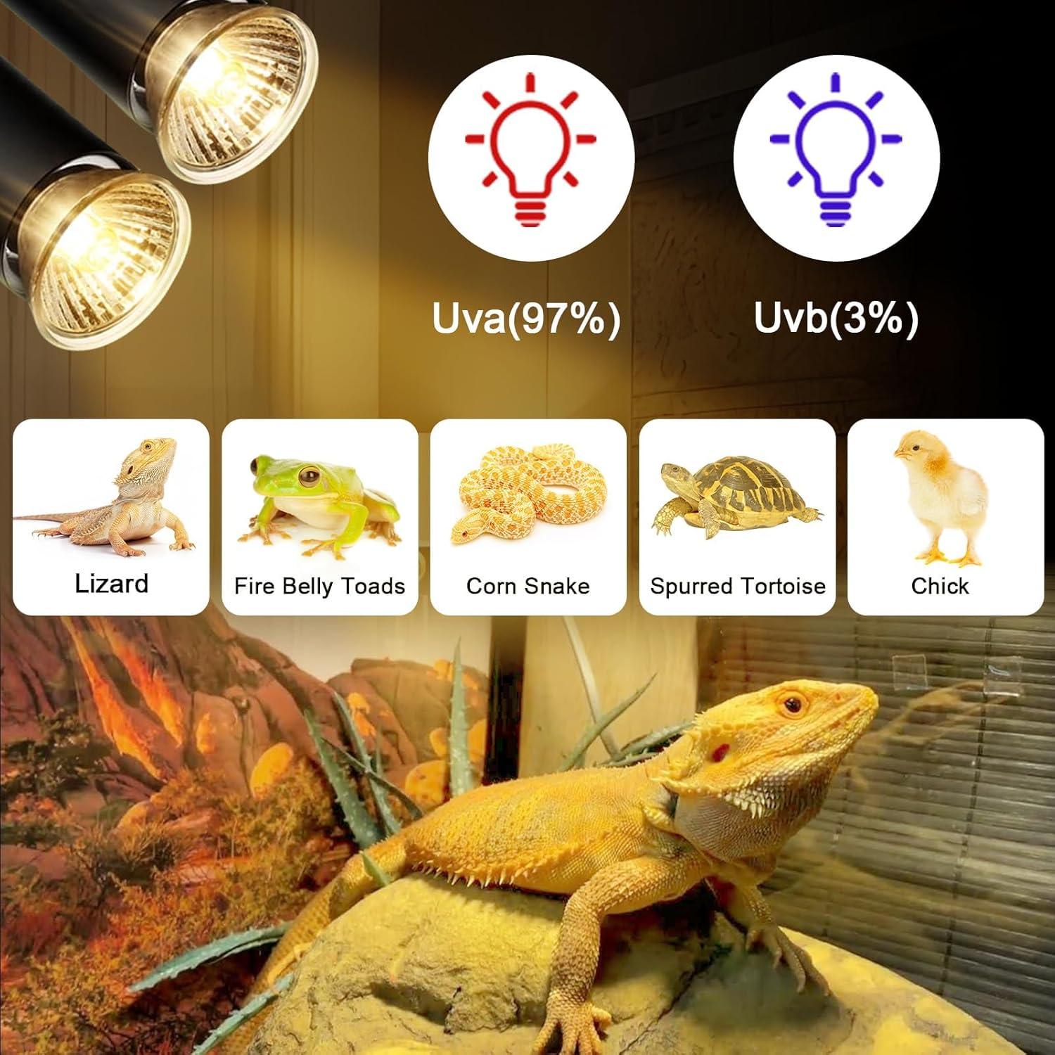 Lámpara de Calor para Reptiles Lachesan E26 25W y 50W Dimmable