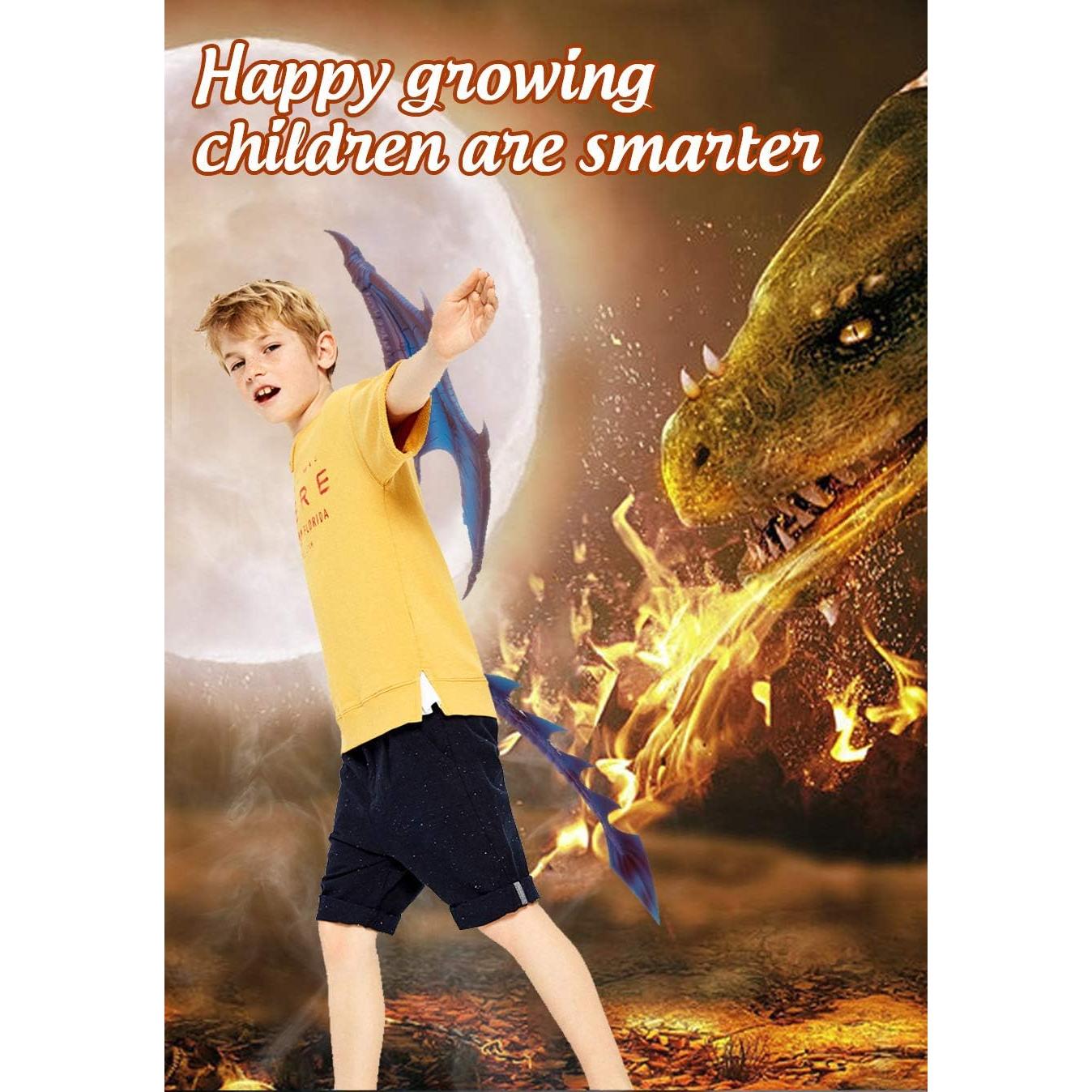 Alas de Dragón Demonio NewL para Niños 60 cm - Halloween