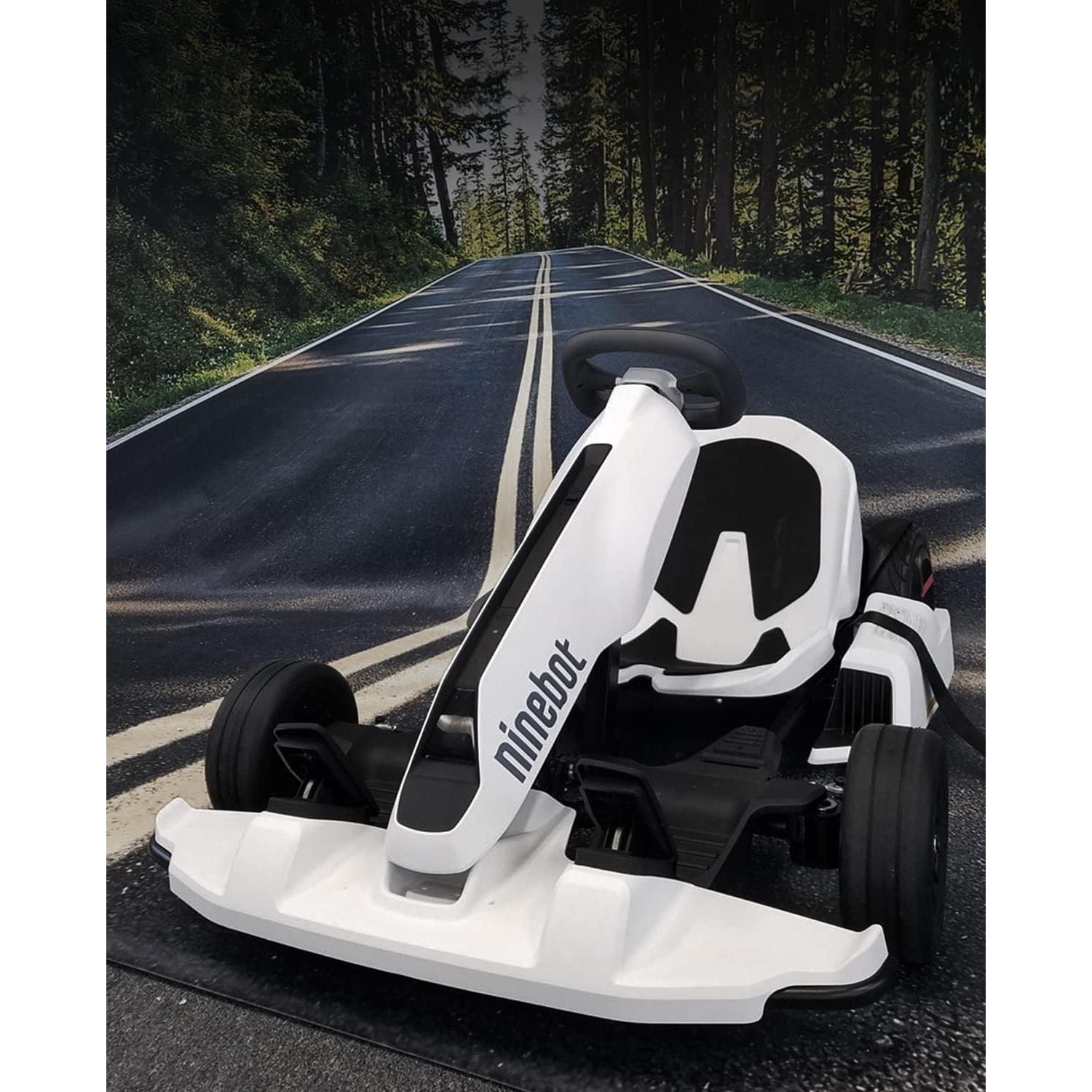 Rueda Frontal Stio GoKart para Ninebot Gokart Pro 1,49 kg