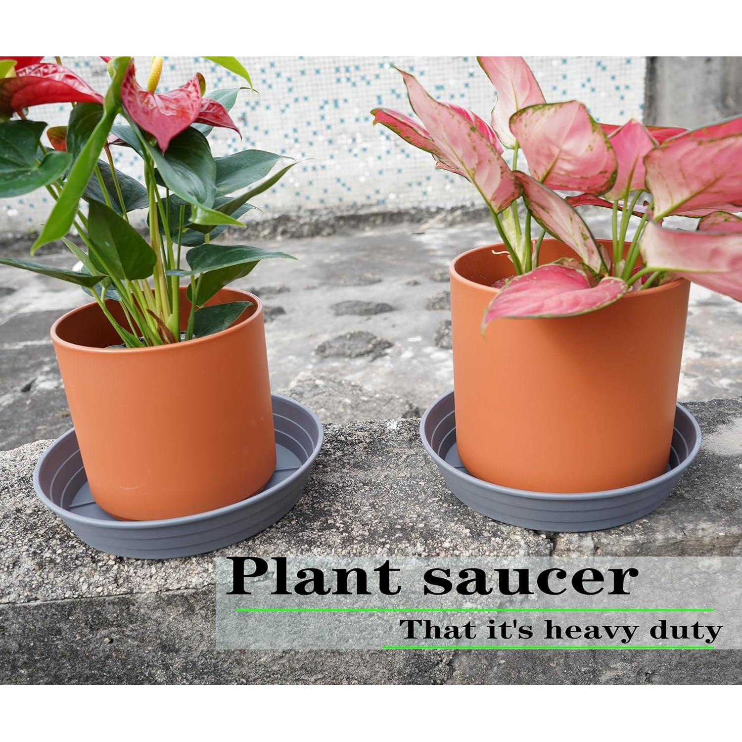 Plato para Plantas 15 cm Gris - 4 Paquetes, Bandejas de Riego