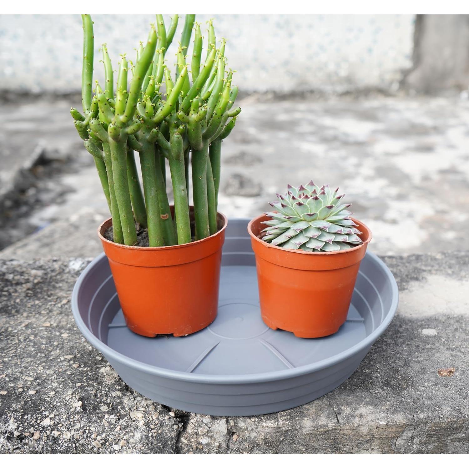 Plato para Plantas 15 cm Gris - 4 Paquetes, Bandejas de Riego