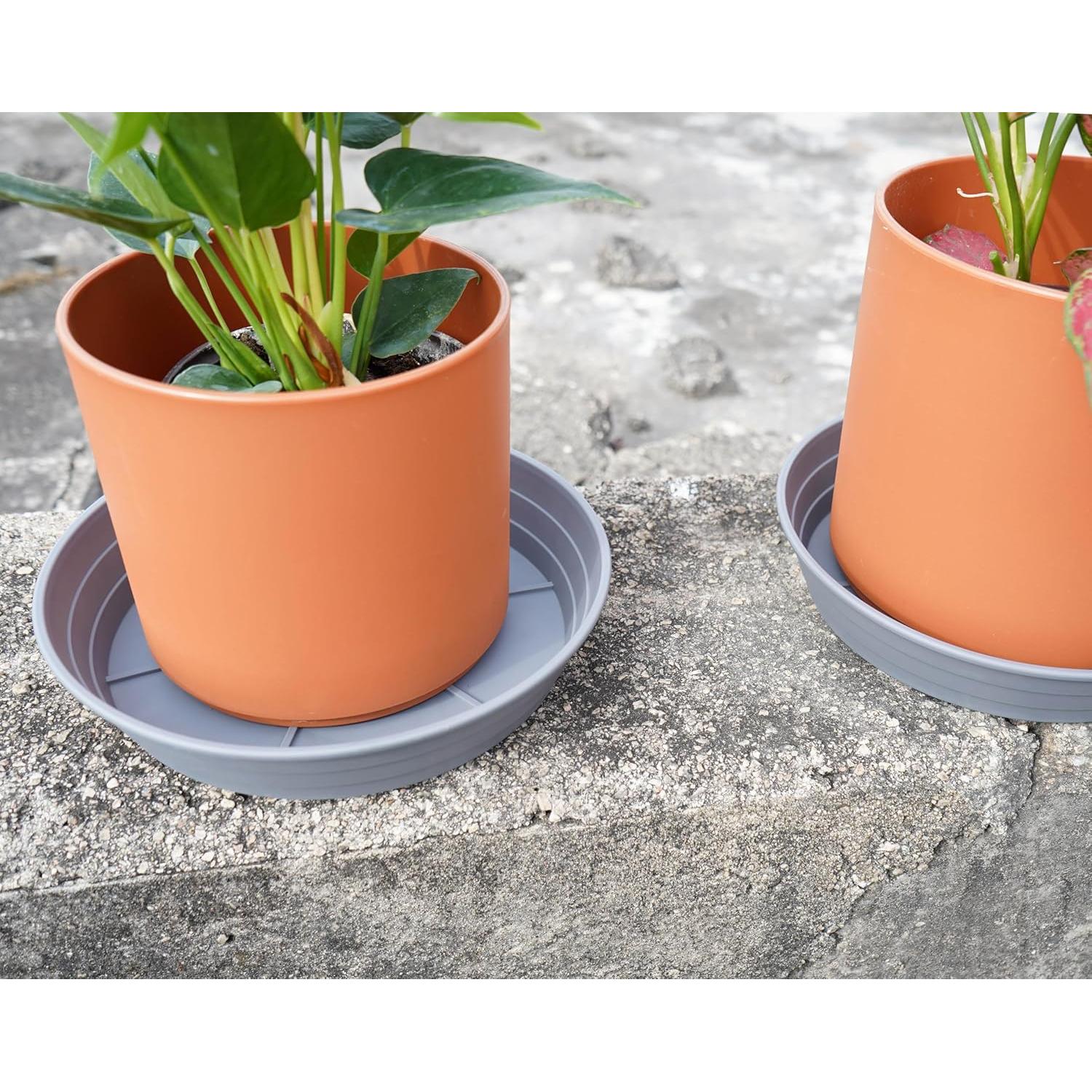Plato para Plantas 15 cm Gris - 4 Paquetes, Bandejas de Riego