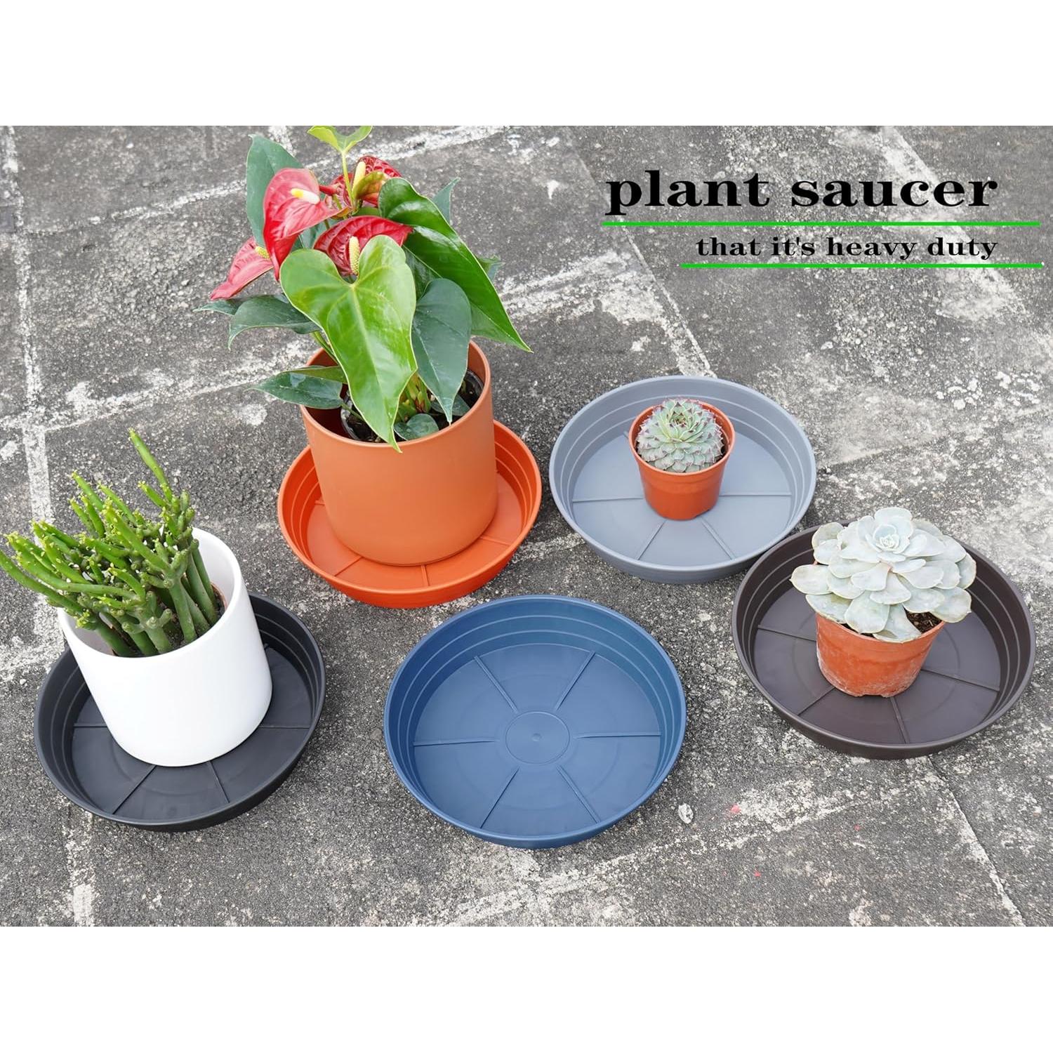 Plato para Plantas 15 cm Gris - 4 Paquetes, Bandejas de Riego