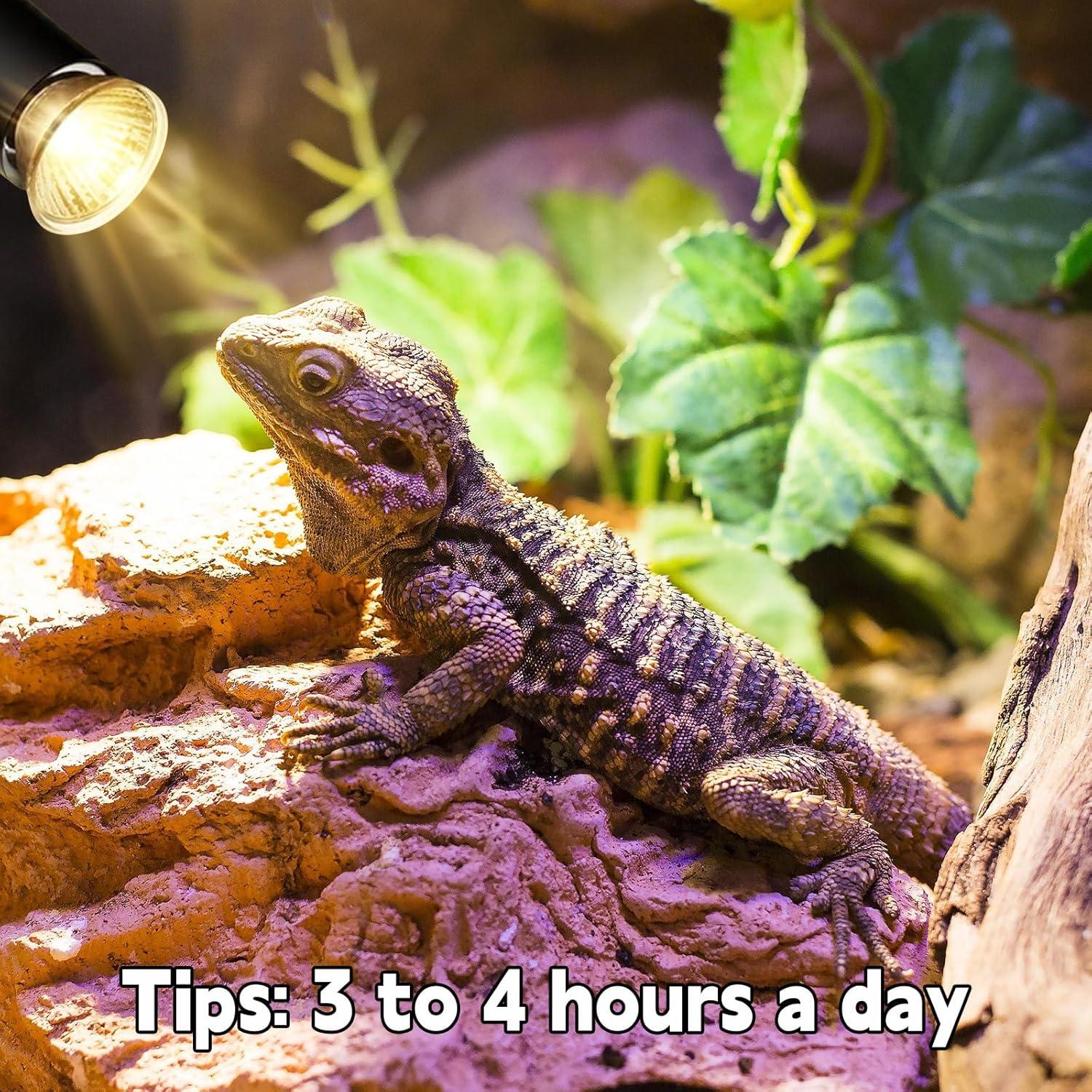 Lámpara de Calor para Reptiles REPTI HOME 25W UVA UVB 4P