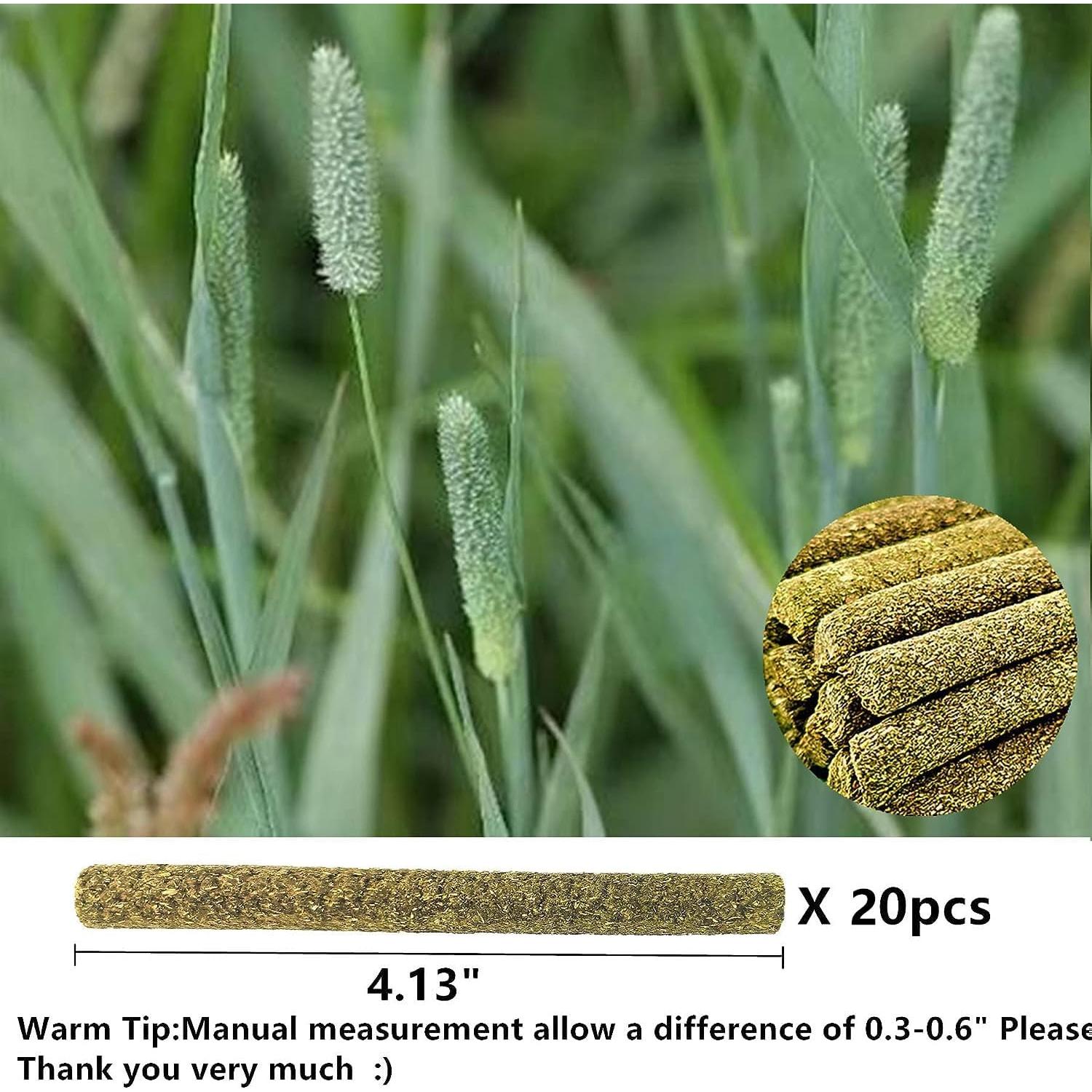 Juguetes para Conejos y Roedores GREMBEB - 20 Piezas Heno Timothy