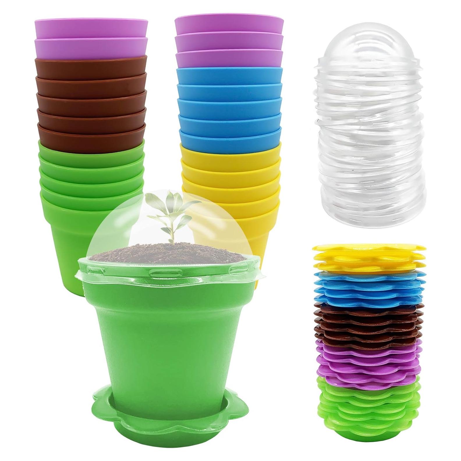 25 Macetas de Vivero ESTRELLA PURPURA para Plantas Suculentas