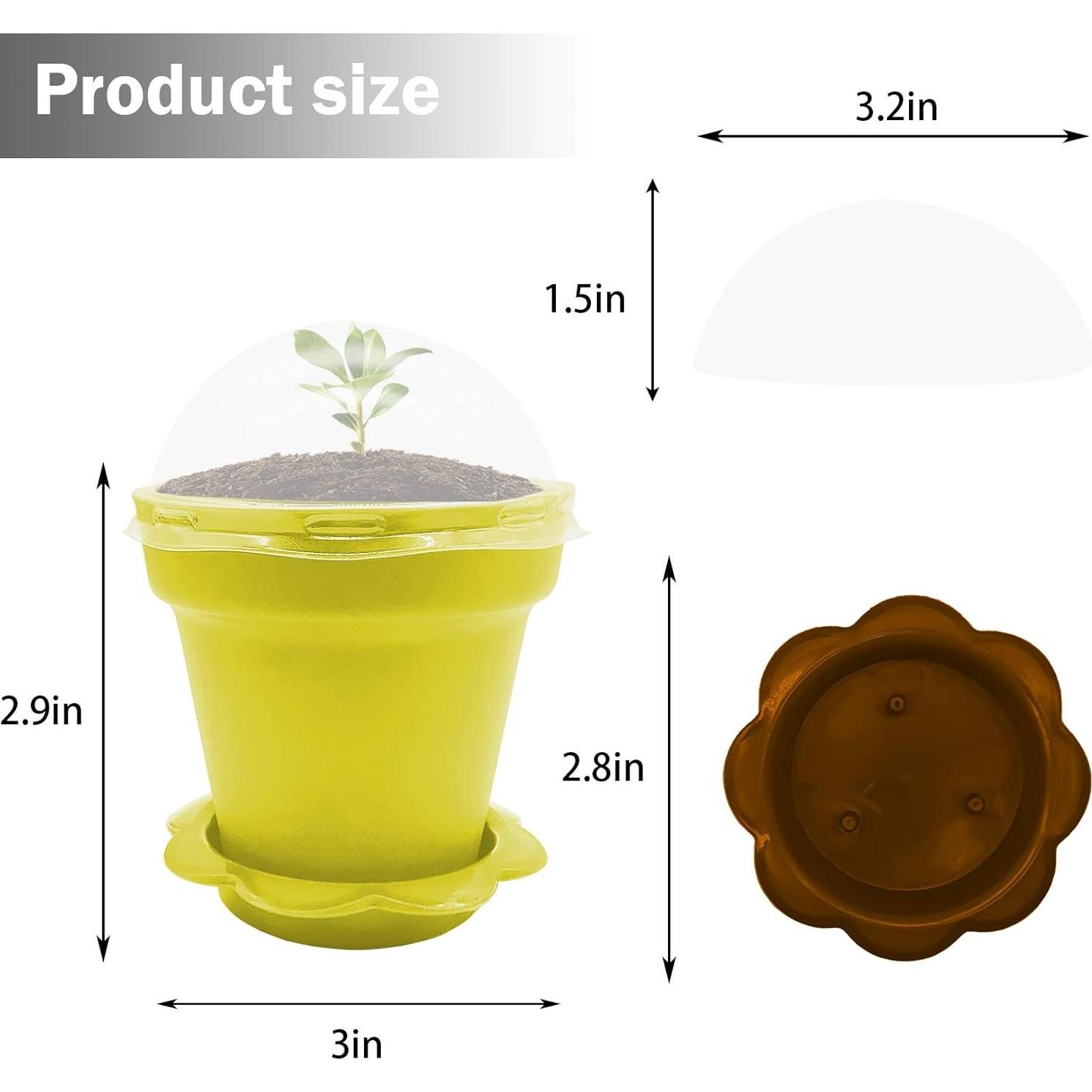 25 Macetas de Vivero ESTRELLA PURPURA para Plantas Suculentas
