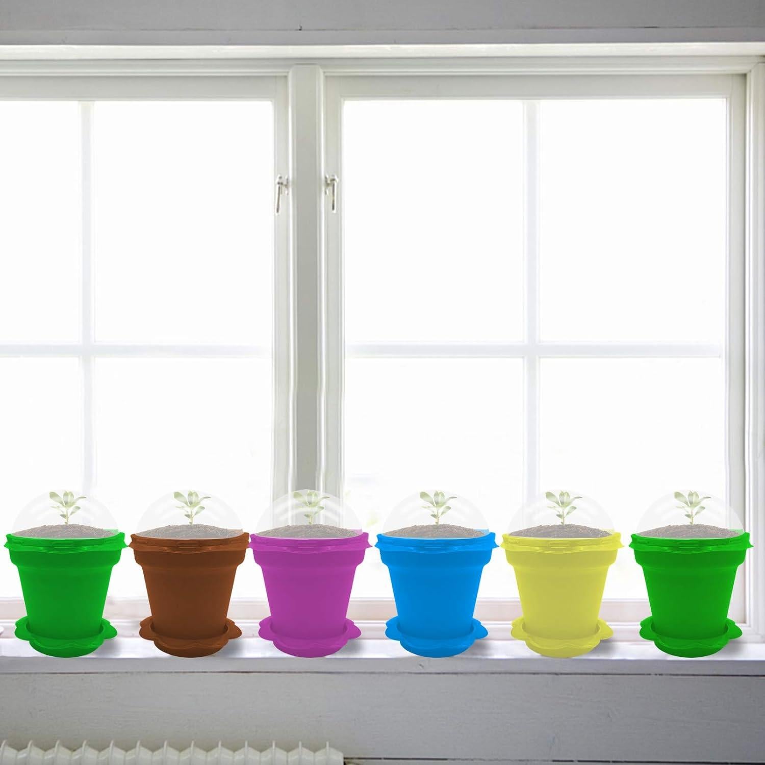 25 Macetas de Vivero ESTRELLA PURPURA para Plantas Suculentas