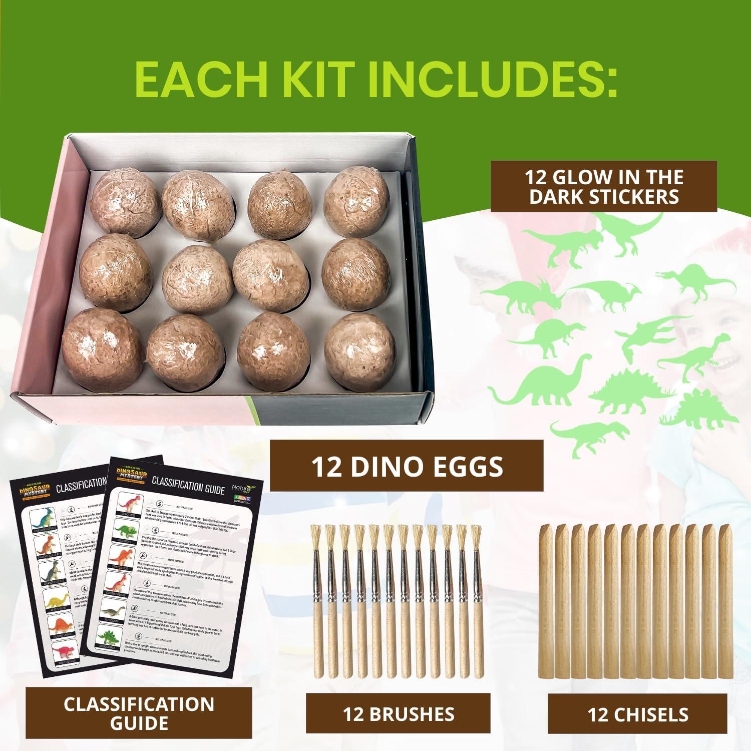 Kit de Excavación de Dinosaurios Nature Gear - 12 Huevos Brillantes