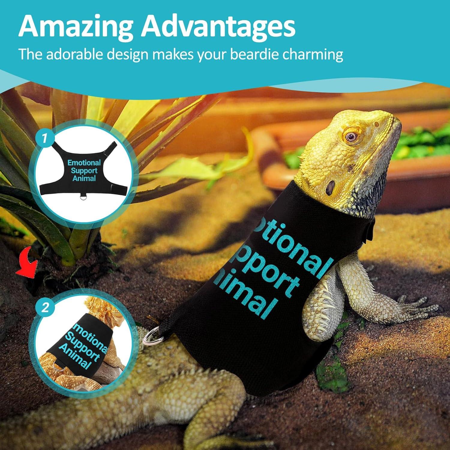 Arnés Ajustable para Lagartos HOKABLE - Azul, 11.5-20 cm