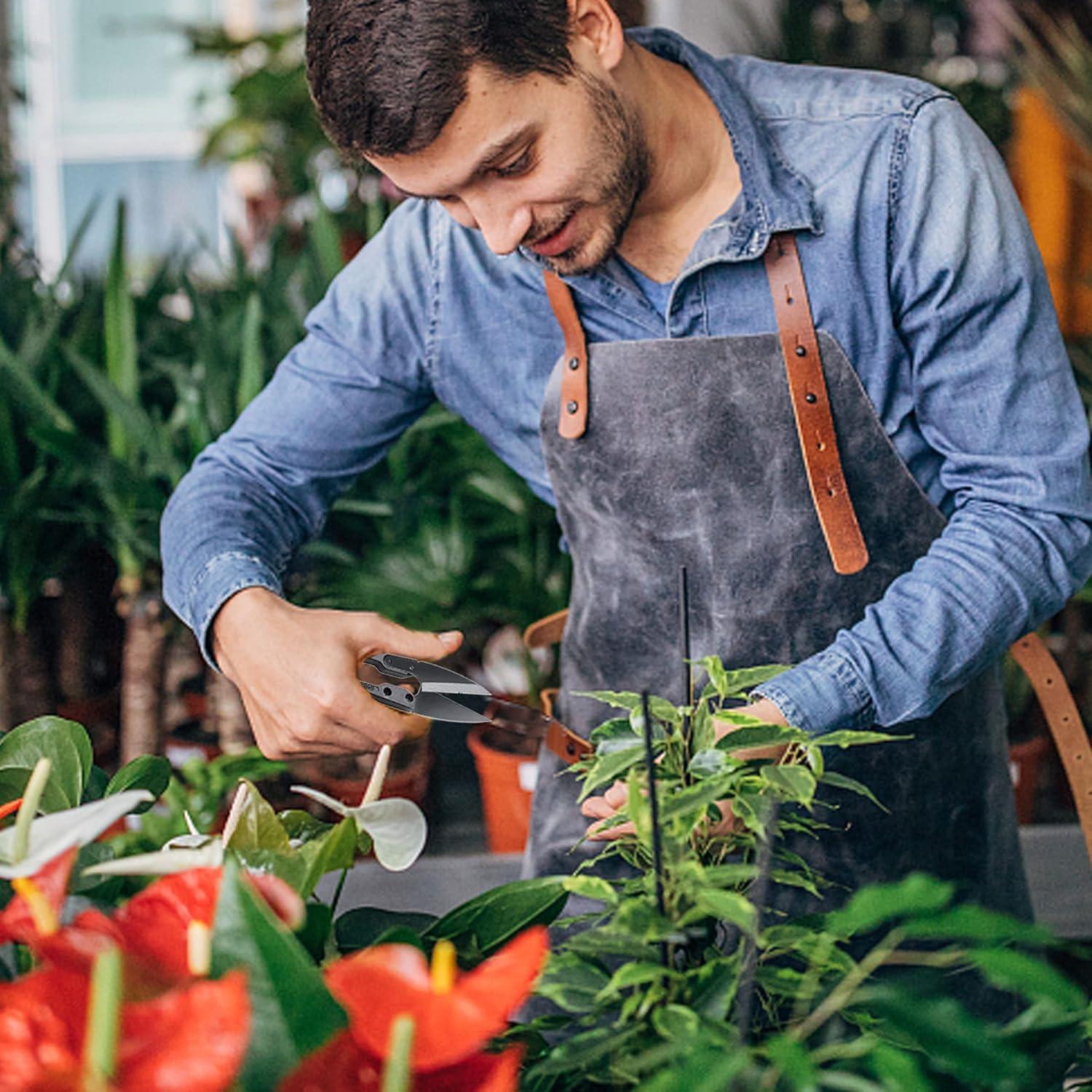 Tijeras de Poda de Bonsai Sago Brothers 5 Pcs Acero Inoxidable