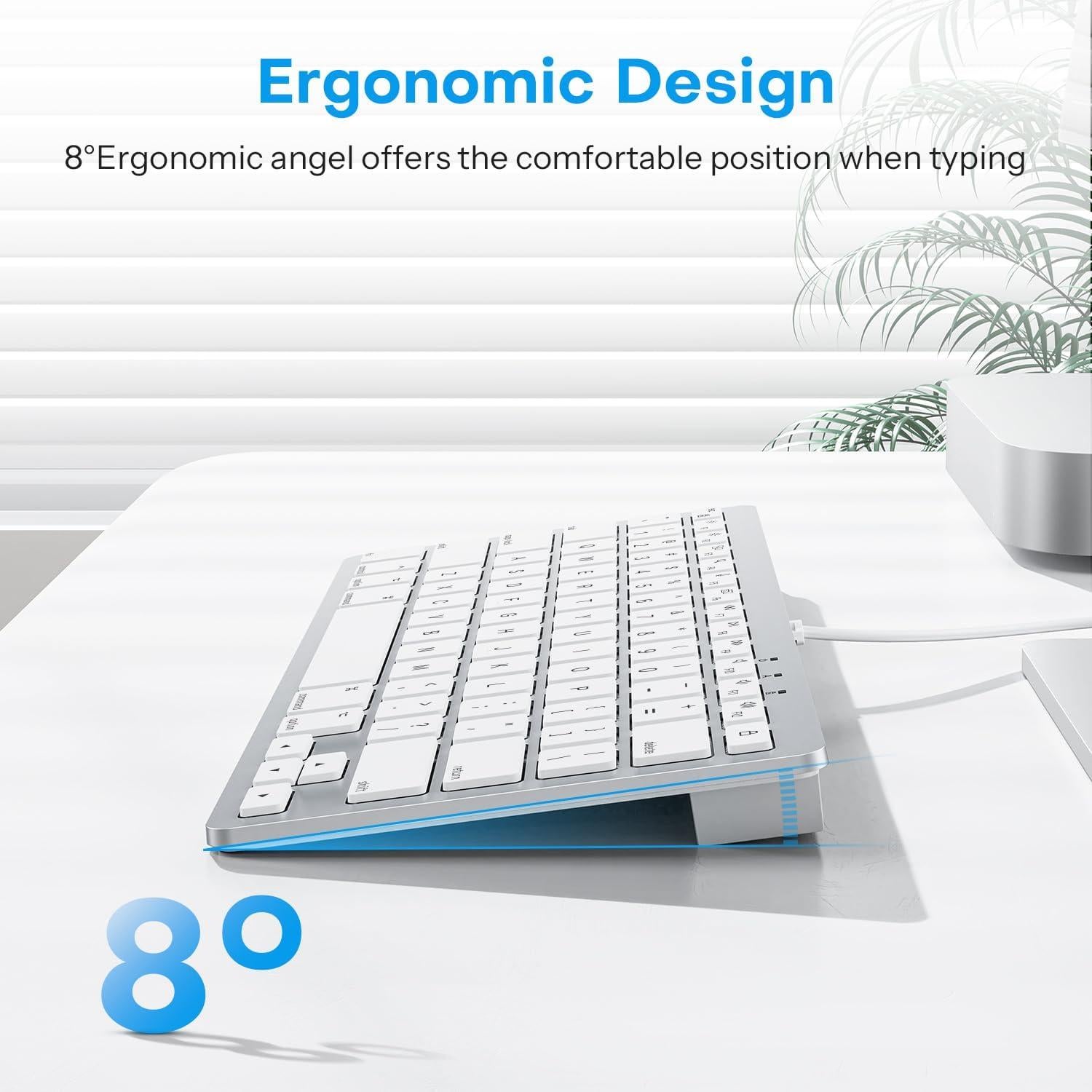 Teclado OMOTON con cable para Mac USB y Type-C Blanco