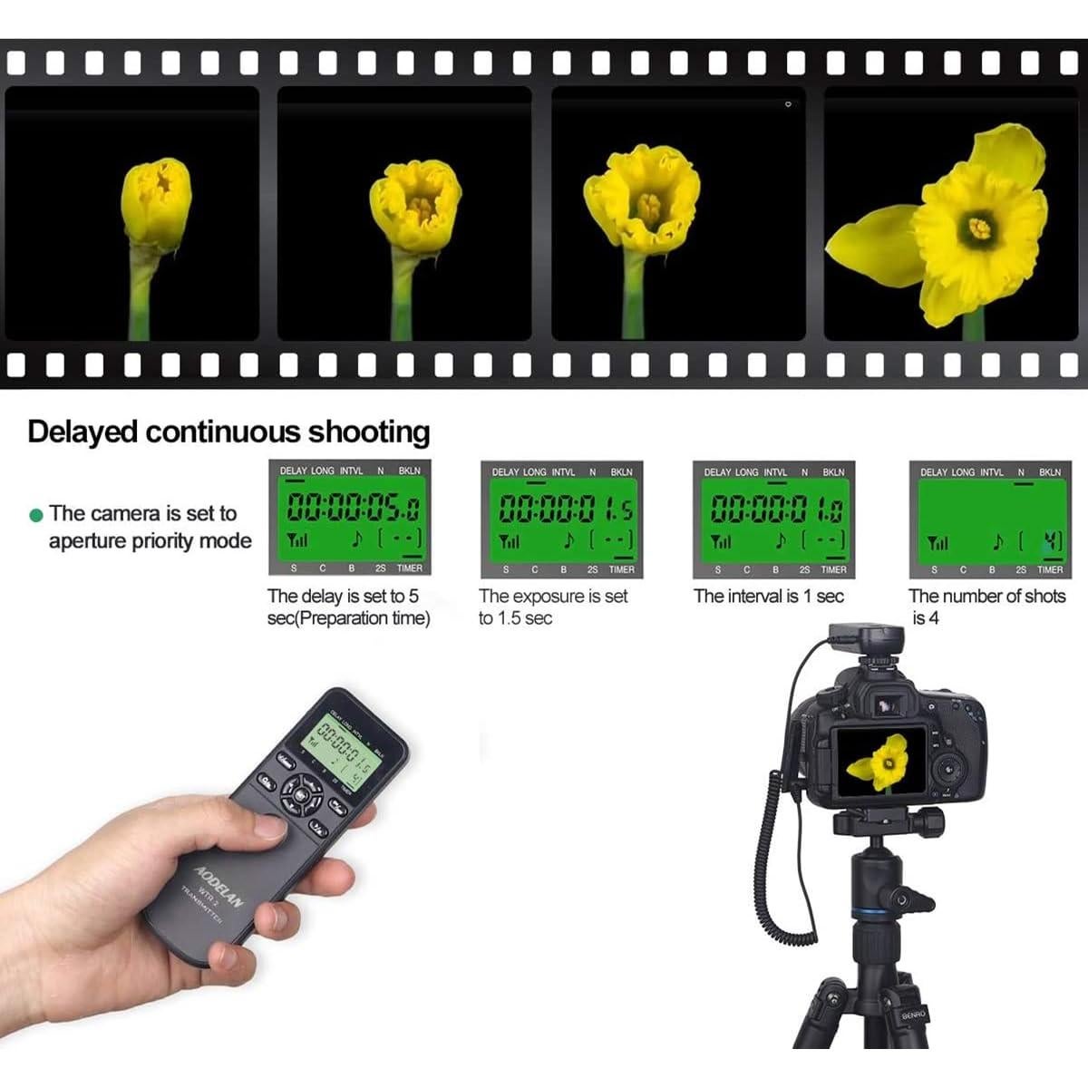 Controlador de temporizador AODELAN WTR-2 para Olympus y Panasonic