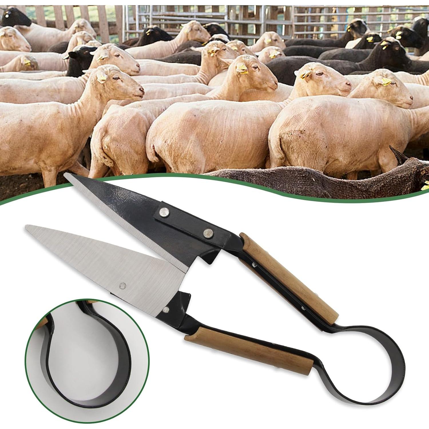 Tijeras de mano USUNFARM para esquilar ovejas 15.2 cm acero