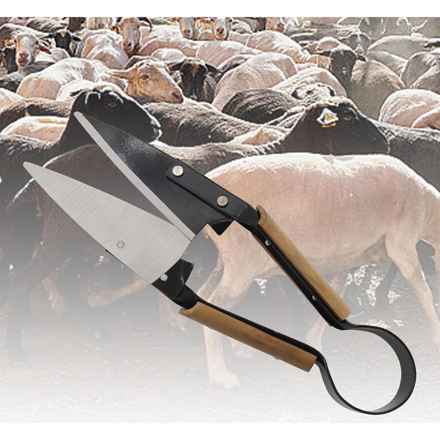 Tijeras de mano USUNFARM para esquilar ovejas 15.2 cm acero