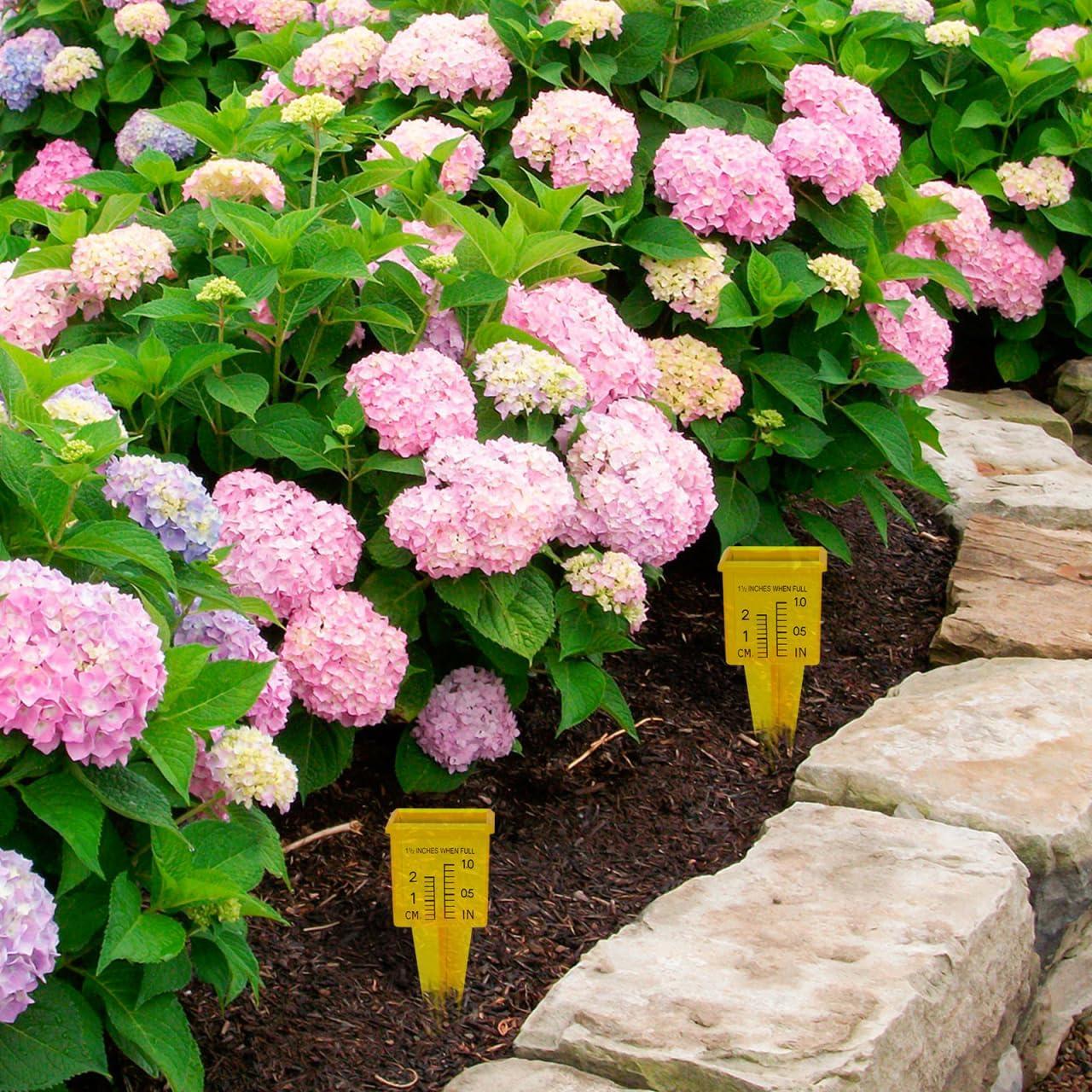 Pluviómetro Exterior Operitacx 3pcs Medidor de Agua Jardín