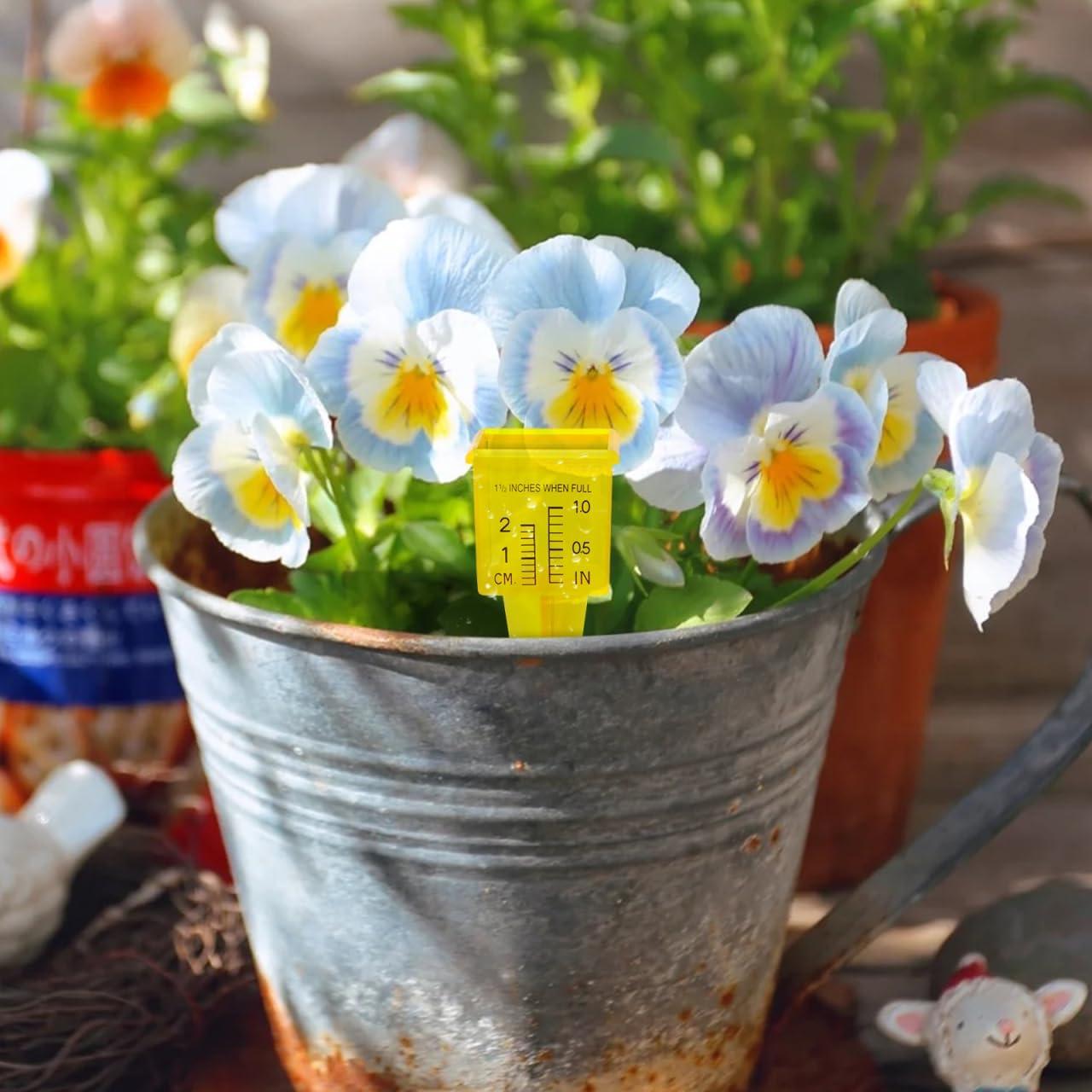 Pluviómetro Exterior Operitacx 3pcs Medidor de Agua Jardín