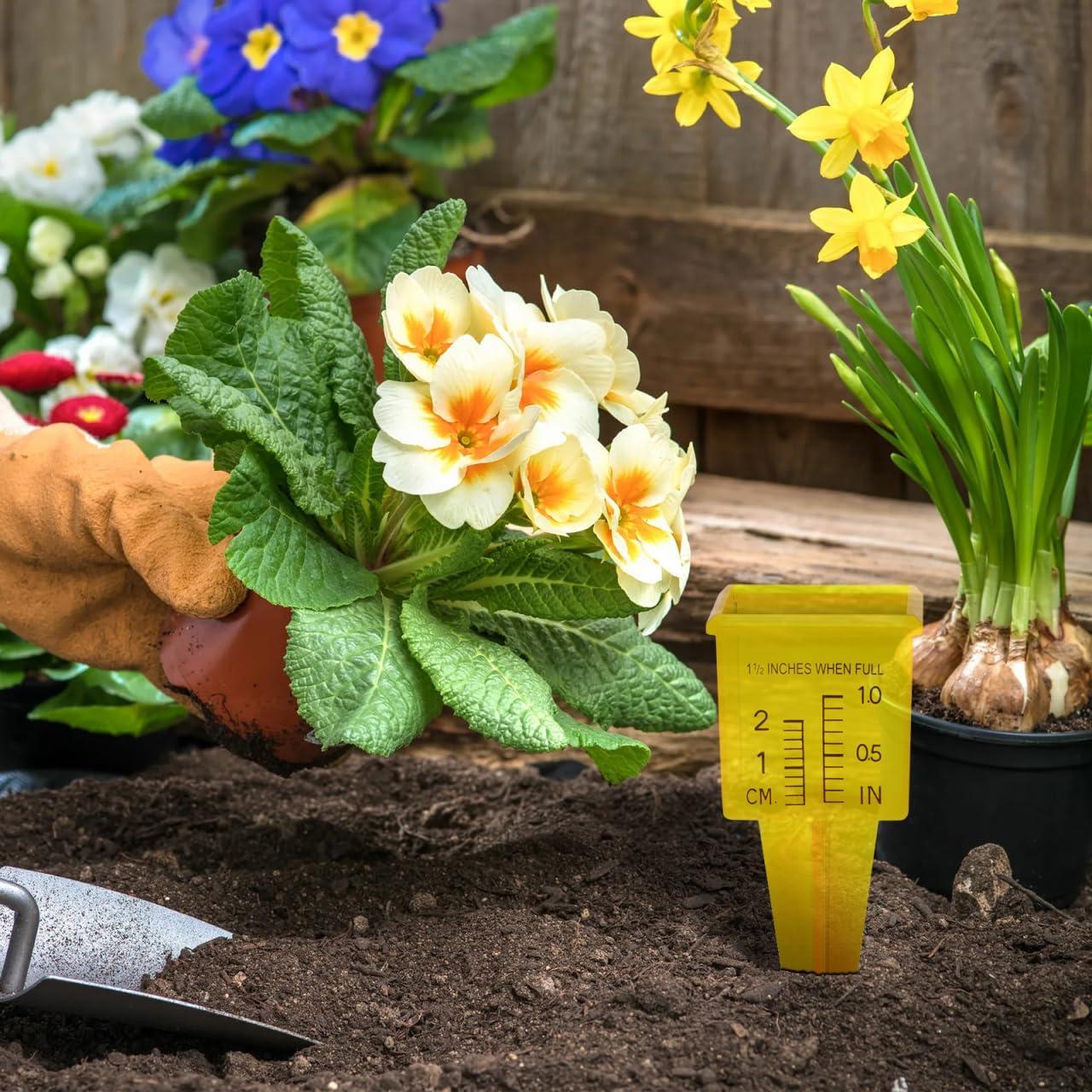 Pluviómetro Exterior Operitacx 3pcs Medidor de Agua Jardín